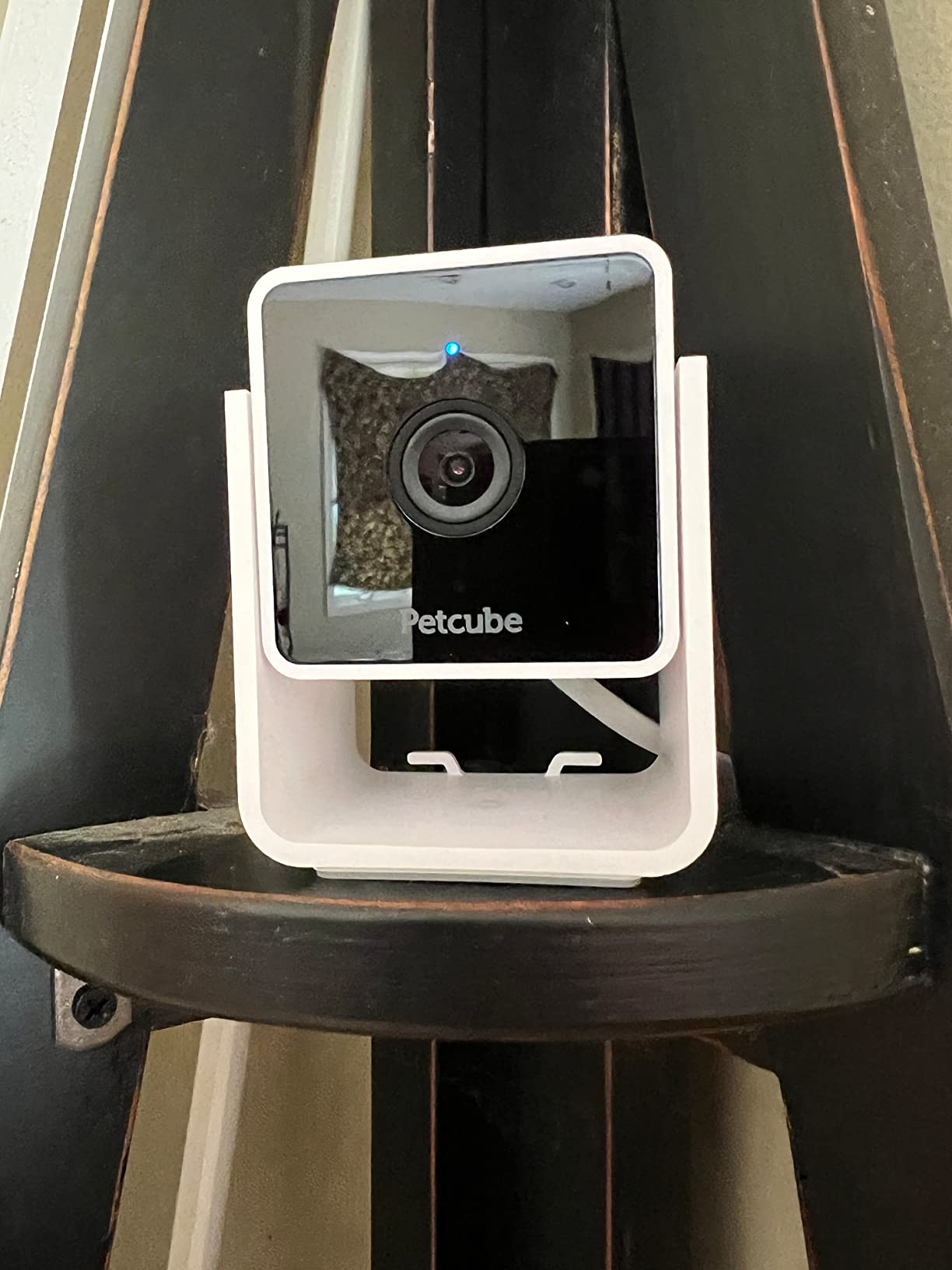 Petcube Cam The Pack of 2 | Indoor Wi-Fi Pet Security Camera with Phone App, 2-Way Audio and Video, Night Vision, 1080p HD Video and Smart Alerts customer photo 2