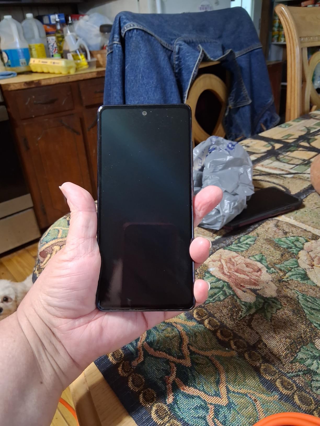 Samsung Galaxy S20 FE 5G (128GB, 6GB) 6.5