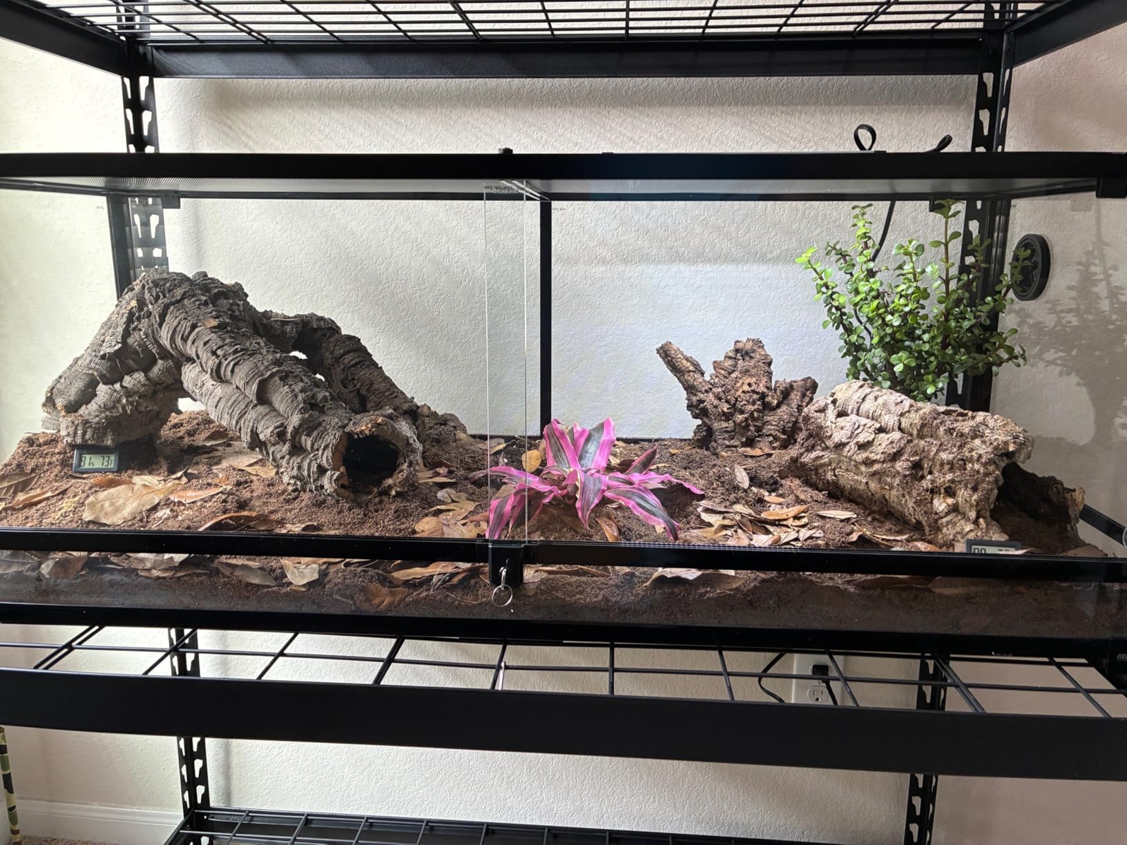 REPTI ZOO 67 Gallon Reptile Large Terrarium 48
