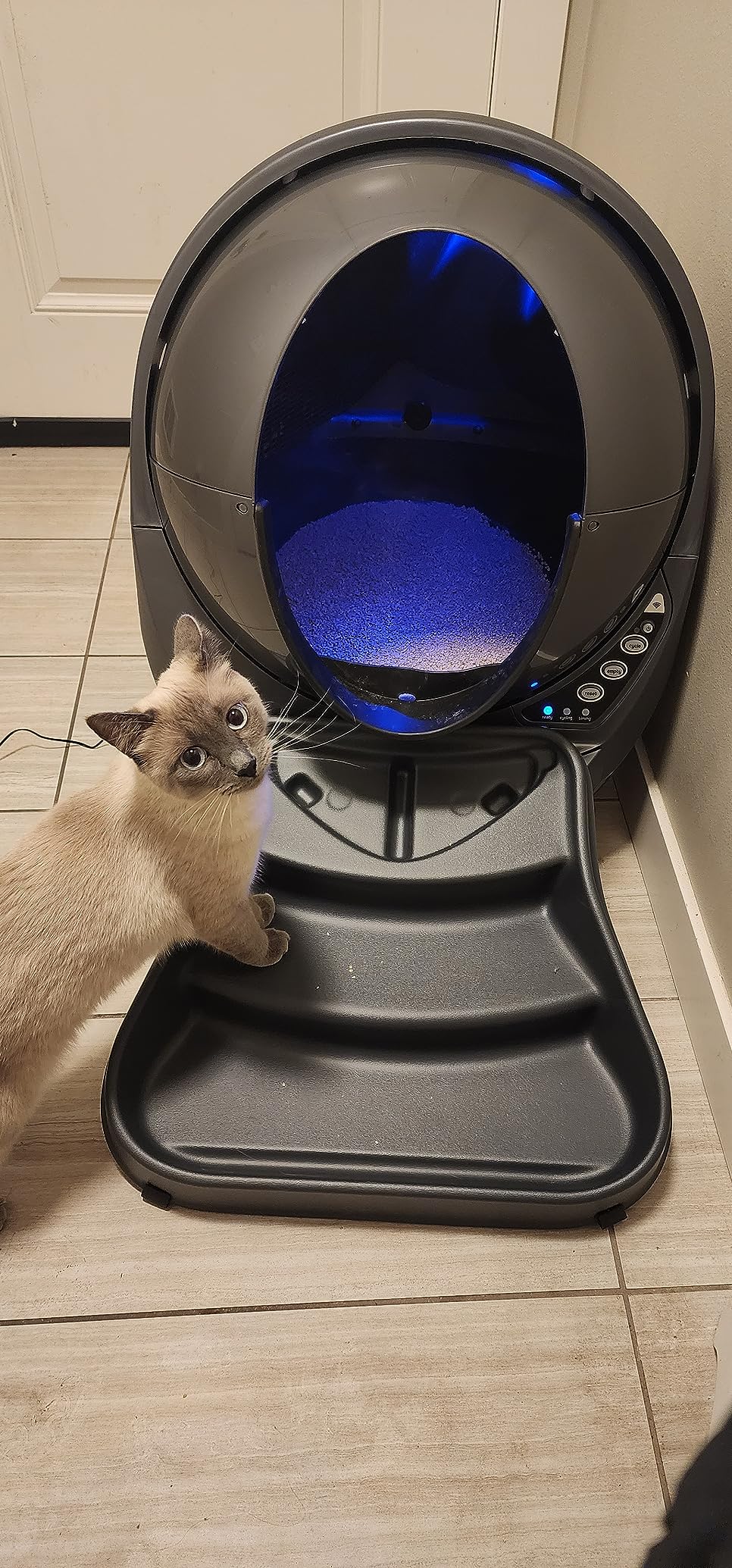 Litter-Robot 3 Connect by Whisker, Grey - Automatic, Self-Cleaning Cat Litter Box, App Control, Helps Reduce Litter Box Odors, Works with Any Clumping Litter, WhiskerCare 1-Year Warranty customer photo 1