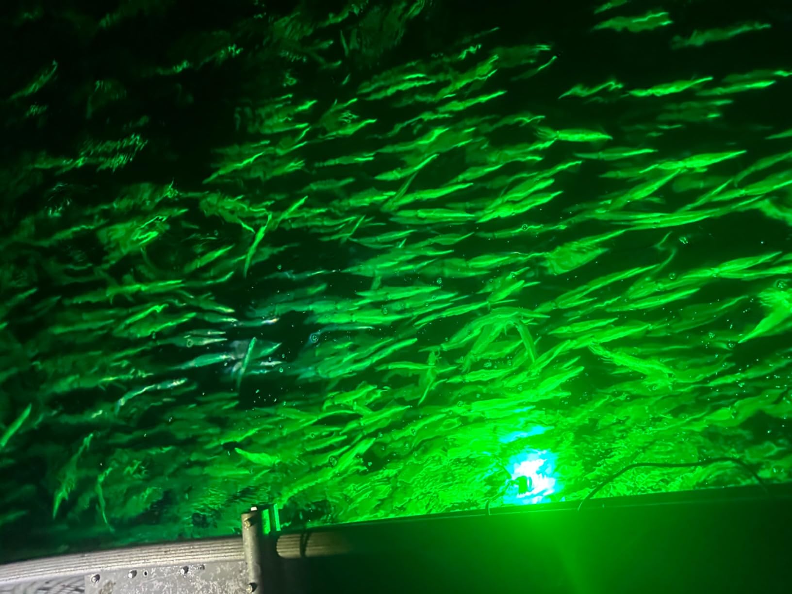 Linkstyle 12V Submersible Fishing Light, 2000LM Underwater Green Fish Attractants Lamp with 5M Cord for Boat Night Fishing customer photo 2
