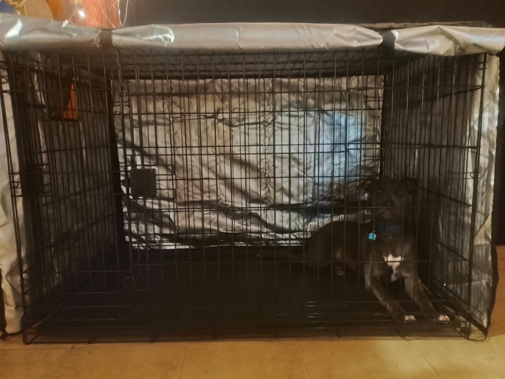 Amazon Basics Portable Metal Wire Dog Crate for Large Dogs, Double Door with Removable Tray, Divider Panel, Easy to Assemble, 48 x 30 x 32.5 inches, Black customer photo 2