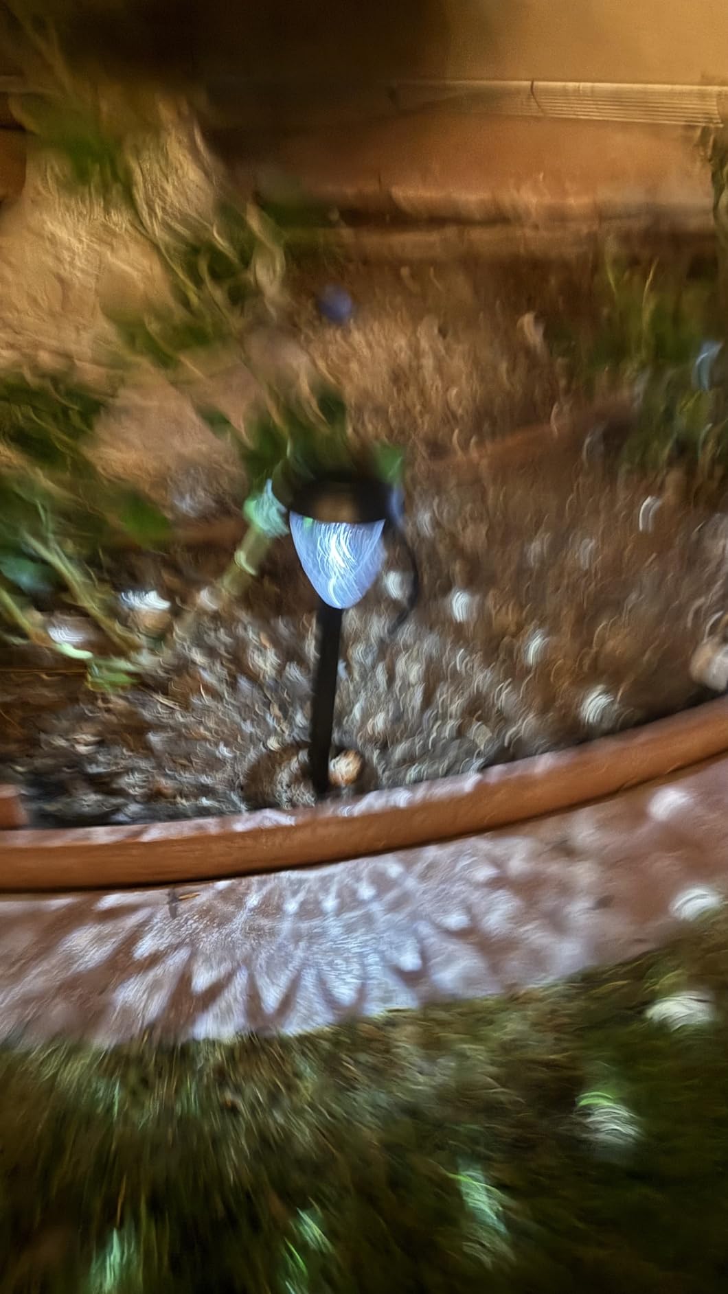 Super Bright Solar Lights Outdoor Waterproof-10 Pack, Dusk to Dawn Up to 12 Hrs Solar Powered Outdoor Pathway Garden Lights Auto On/Off, LED Landscape Lighting Decorative for Walkway Patio Yard customer photo 2
