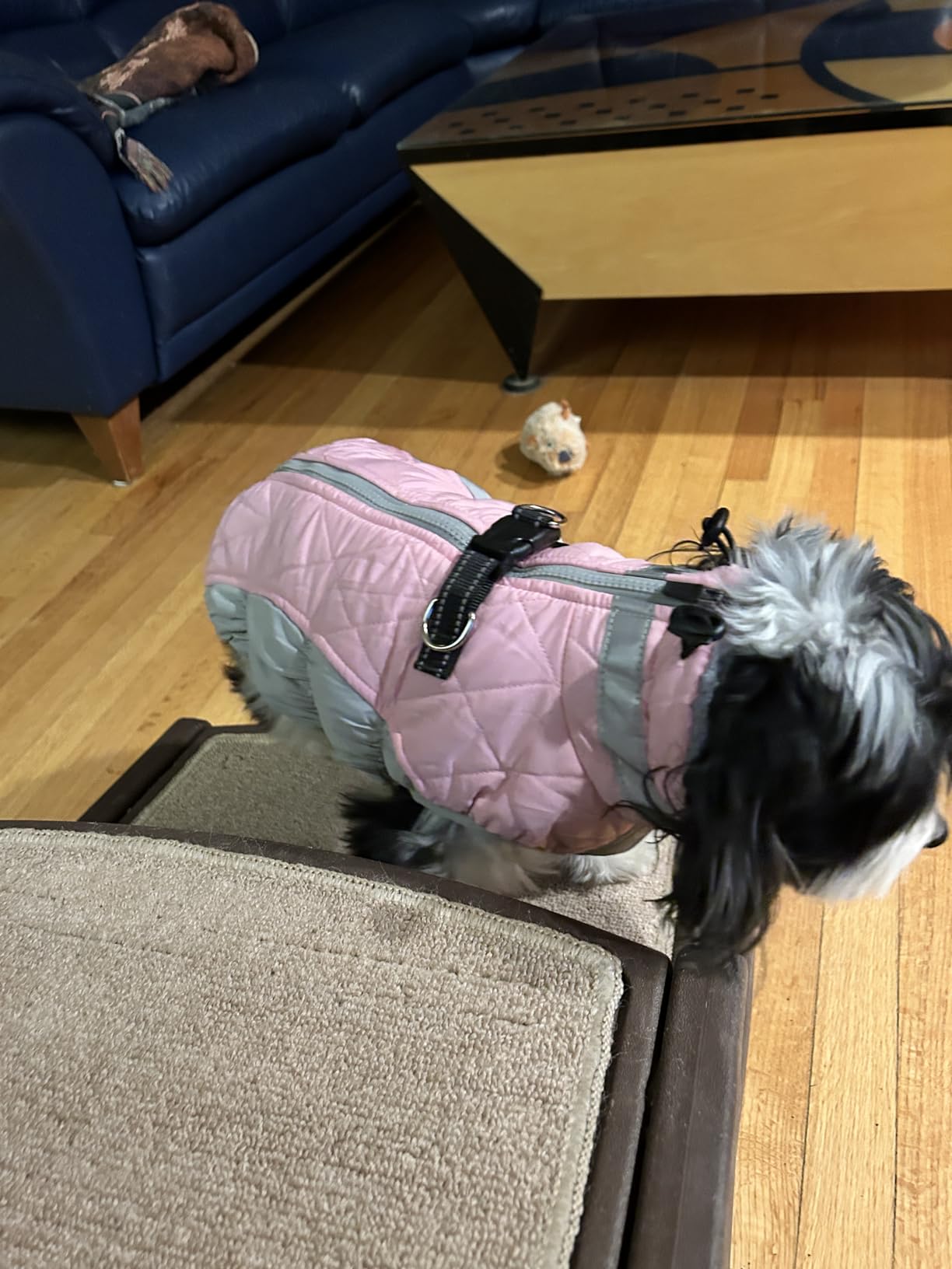 AOFITEE Dog Coat, Warm Dog Jacket, Reflective Winter Coats for Medium Dogs, Turtleneck Dogs Winter Jacket with Harness Built in, Waterproof Windproof Pet Fleece Vest Puffer Jacket, Pink M customer photo 1