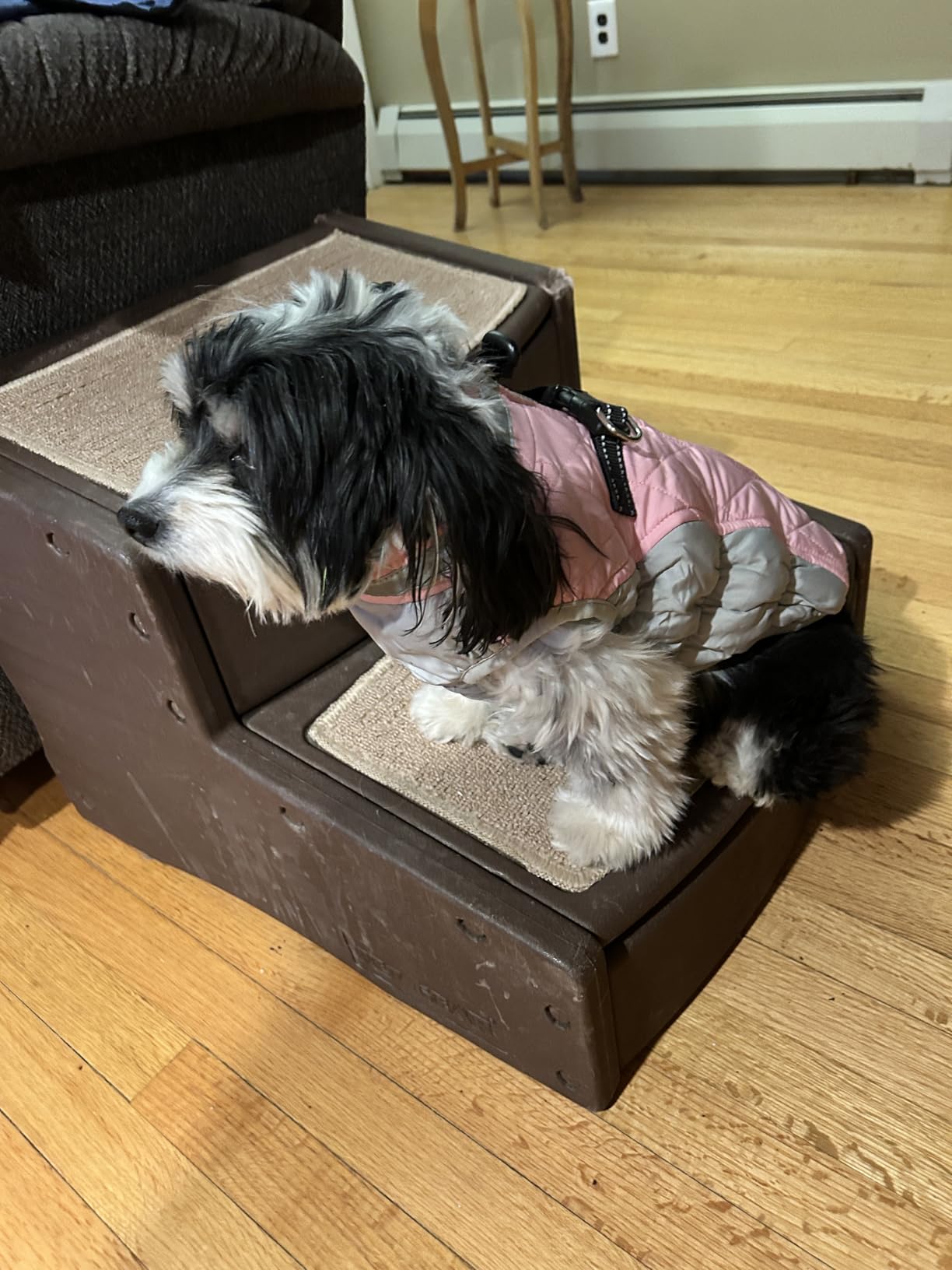 AOFITEE Dog Coat, Warm Dog Jacket, Reflective Winter Coats for Medium Dogs, Turtleneck Dogs Winter Jacket with Harness Built in, Waterproof Windproof Pet Fleece Vest Puffer Jacket, Pink M customer photo 2