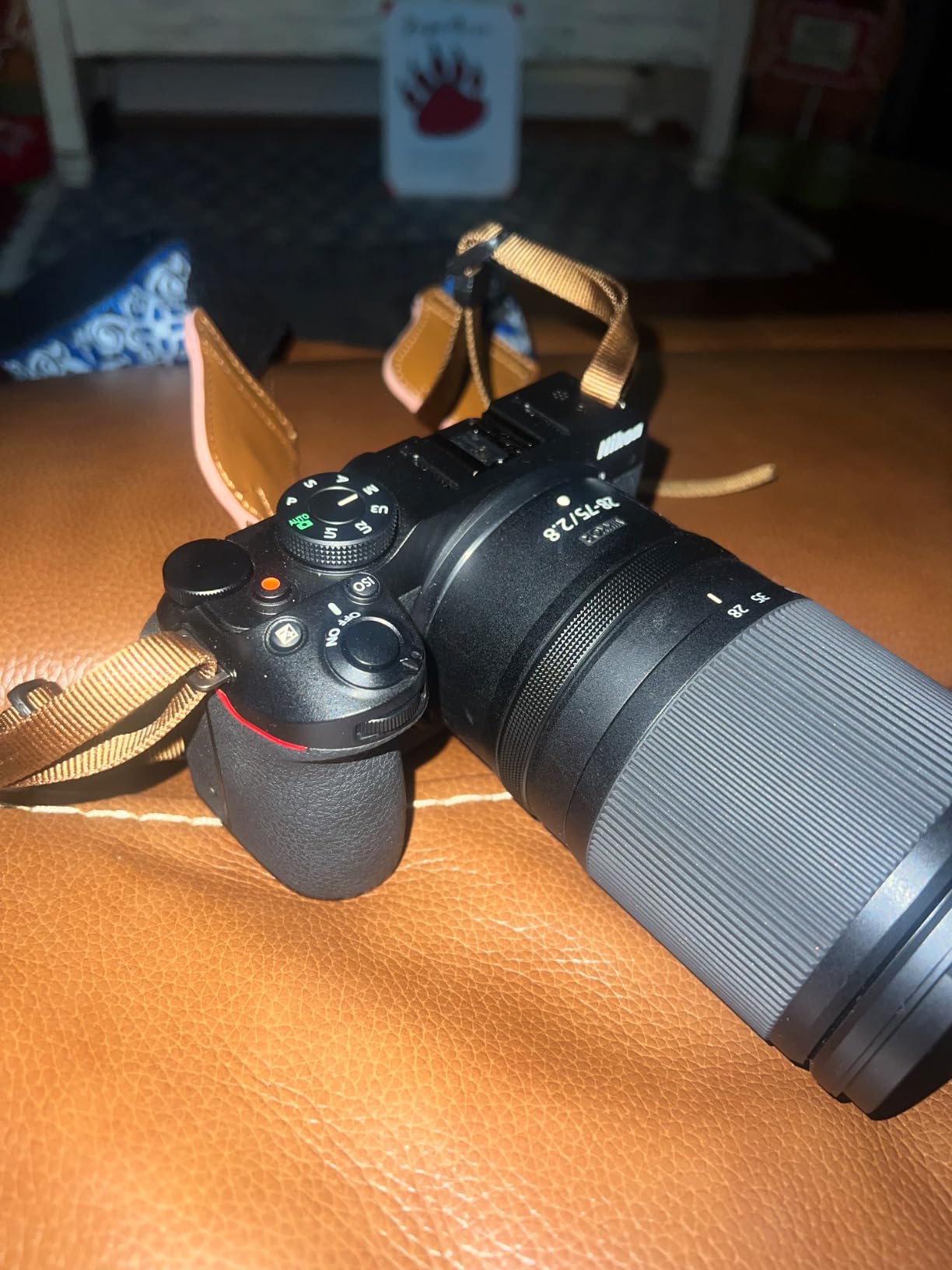 Nikon Z30 Mirrorless Digital Camera with 16-50mm Lens (1749) Bundle with 64GB Extreme PRO Card + EN-EL25 Extra Battery + Corel Photo Software + Camera Bag + Cleaning Kit + More customer photo 1