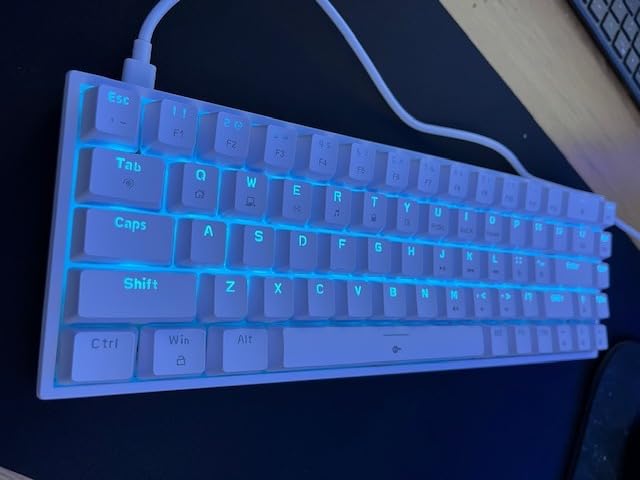 DIERYA T68SE 60% Gaming Mechanical Keyboard,Ultra Compact Mini 68 Key with Red Switches Wired Keyboard,Anti-Ghosting Keys, for Windows Laptops and PC Gamers,White customer photo 2