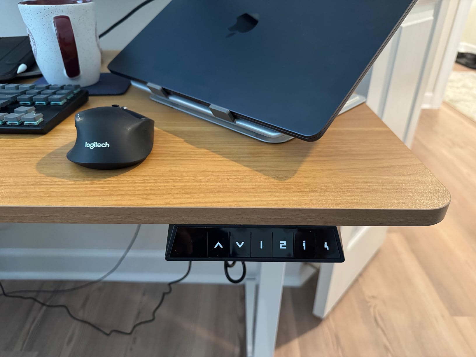 FLEXISPOT EN1 One-Piece Standing Desk, Electric Adjustable with 4 Memory Presets, 176 LBS Capacity, Stable & Quiet, Seamless Desktop for Home Office & Dual Monitors, 40
