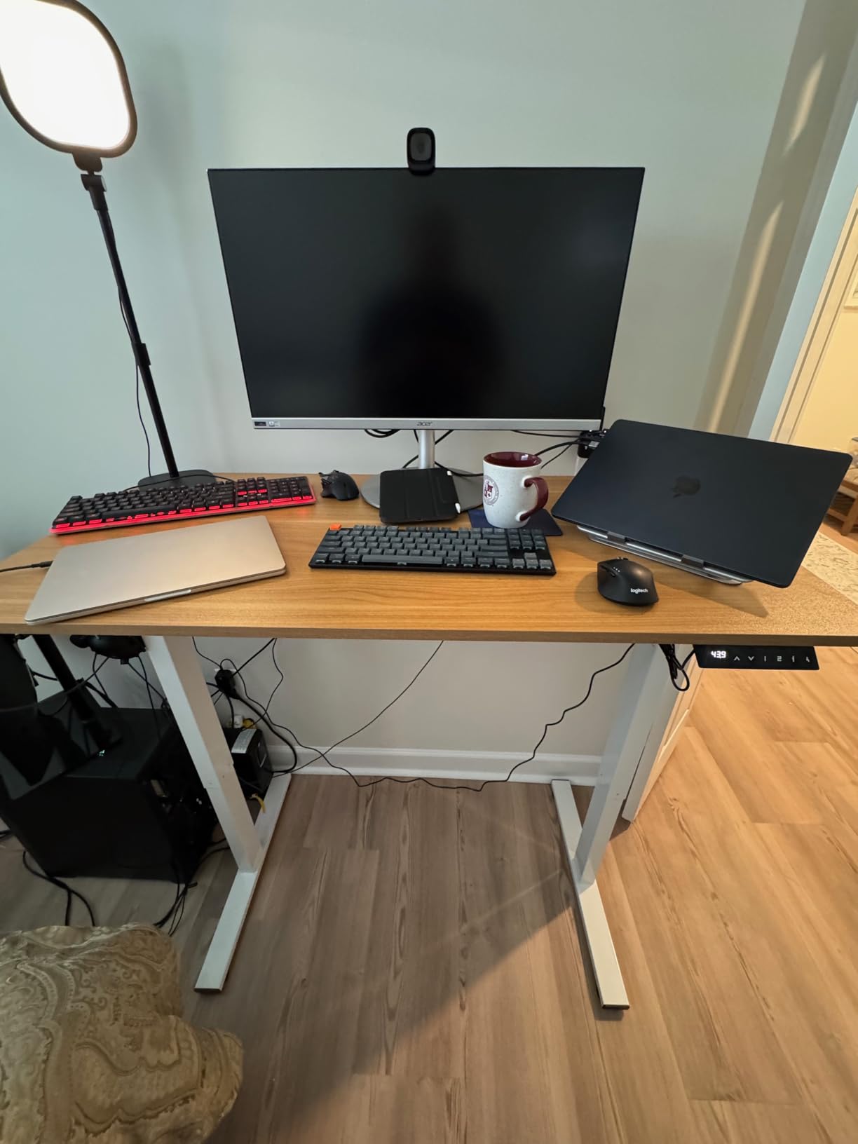FLEXISPOT EN1 One-Piece Standing Desk, Electric Adjustable with 4 Memory Presets, 176 LBS Capacity, Stable & Quiet, Seamless Desktop for Home Office & Dual Monitors, 40