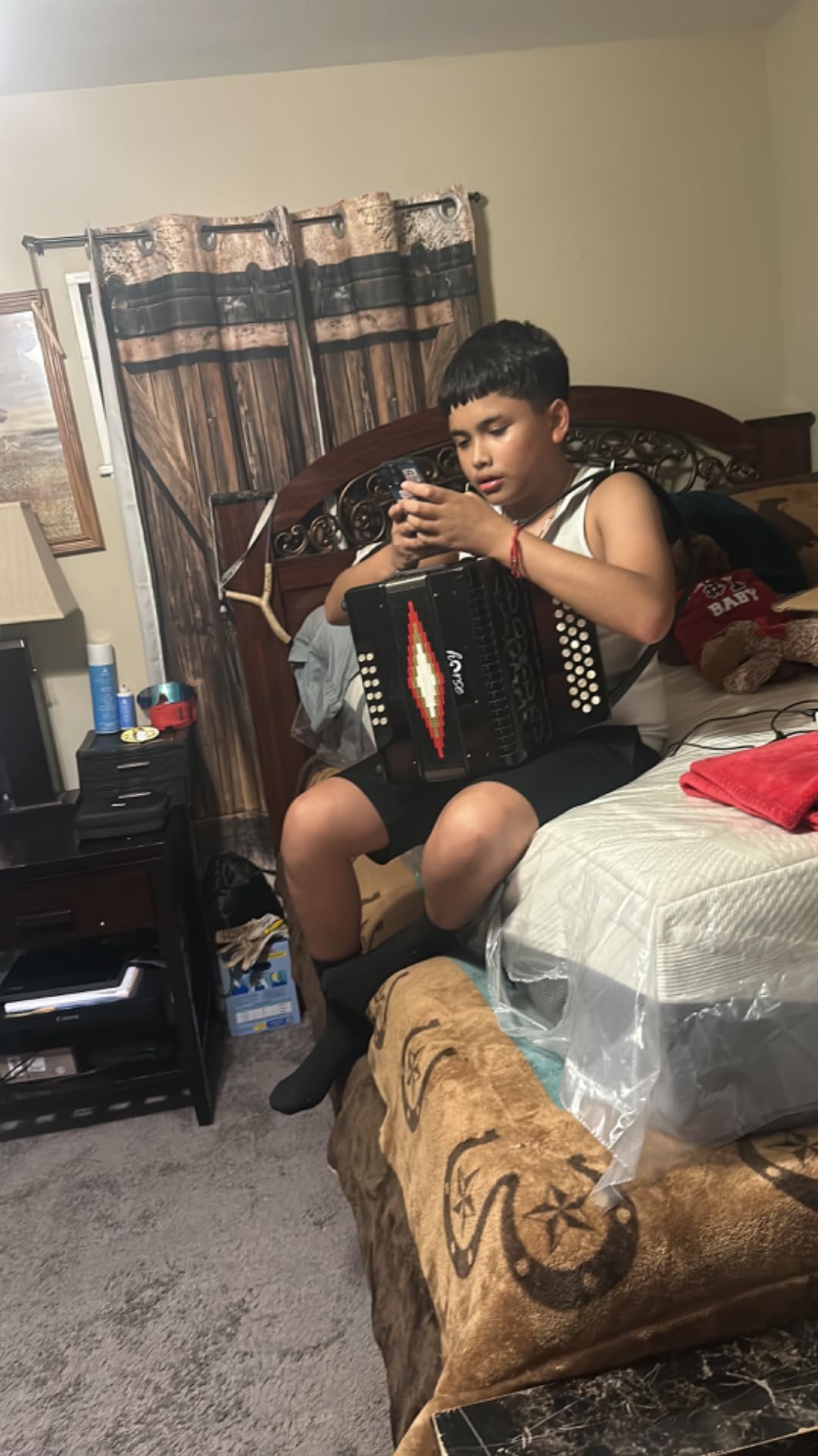 Horse 31 Key Accordion, 12 Bass 3-Row F/B/E Diatonic with Case, Gloves, Straps customer photo 1