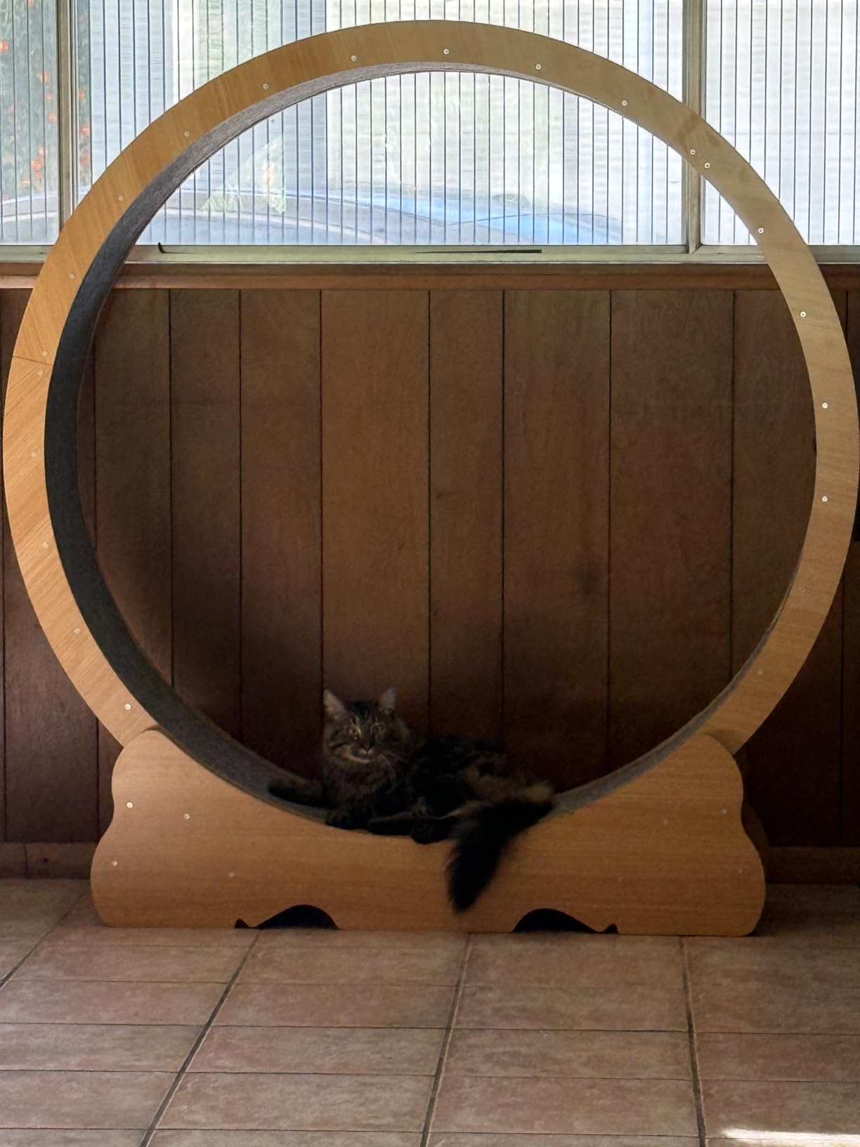 Cat Wheel, 48