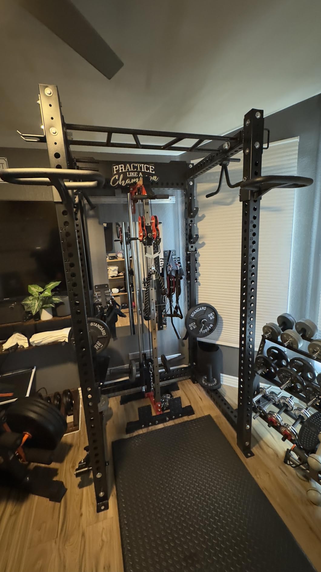 ER Kang Cable Station Wall Mount, 18in Pulley Tower, Dual Pulley System, High & Low Cable Machine, LAT Pull-Down & Row Tower with Flip-Up Footplate, Home Gym Cable Crossover (Red) customer photo 2