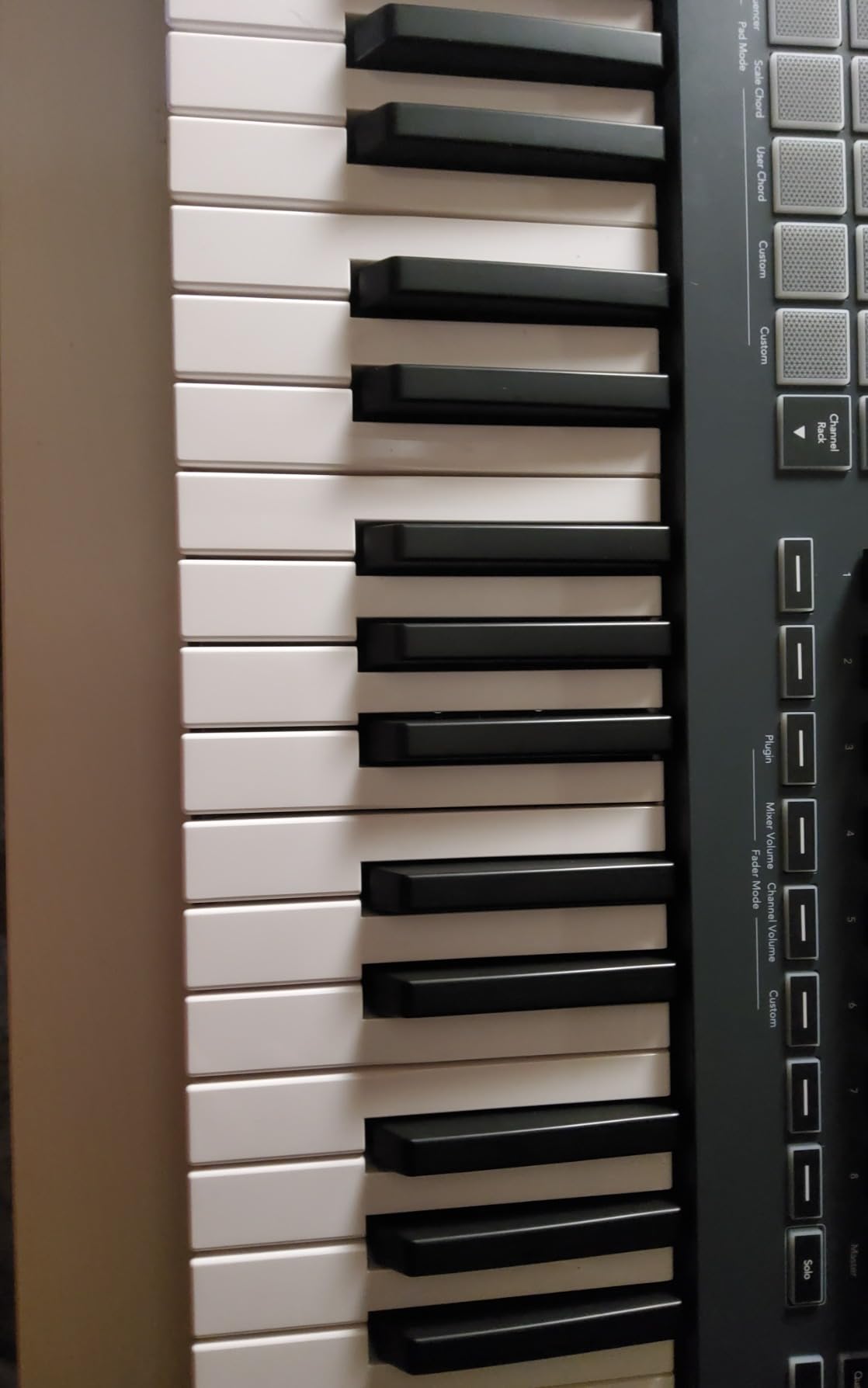 Novation FLkey 49 MIDI Keyboard - Seamless FL Studio Integration with Chord Mode and Scale Mode customer photo 2