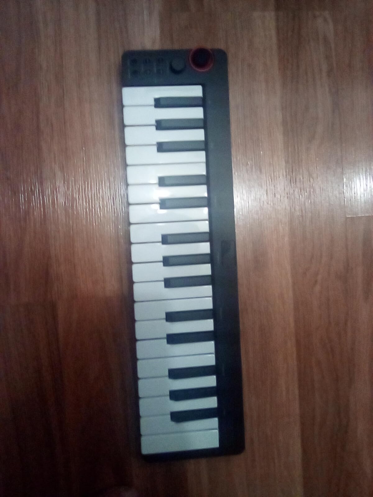 Donner Mini MIDI Keyboard, N-25 25 Key MIDI Controller for Beginner with Velocity-Sensitive Mini Keys and Light-up Rocker and Music Production Software, Small Controlador MIDI with 40 Teaching Courses customer photo 1