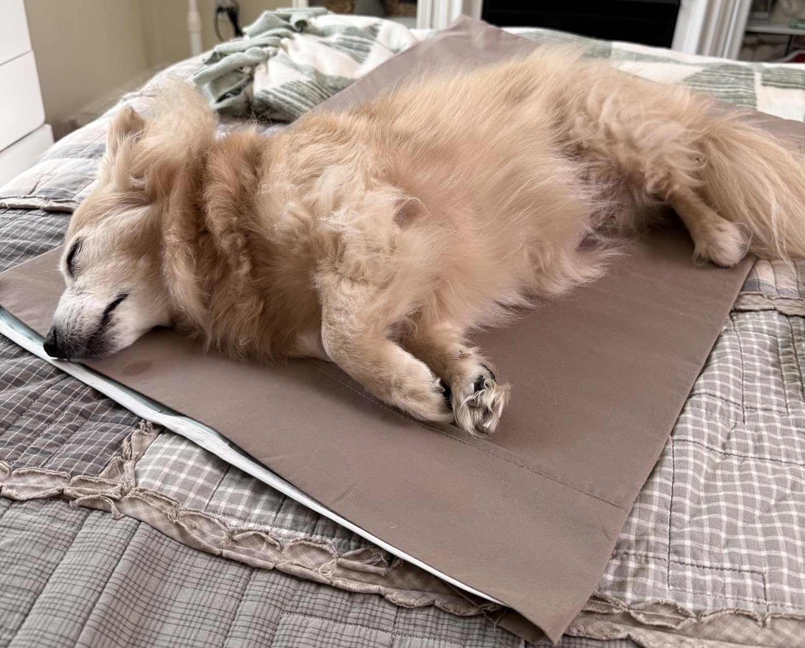 The Green Pet Shop Cool Pet Pad - Large, Sage Grey - Self-Cooling, Pressure Activated Mat for Dogs & Cats from 46-80 lbs - Non-Toxic Gel, No Water Needed customer photo 1