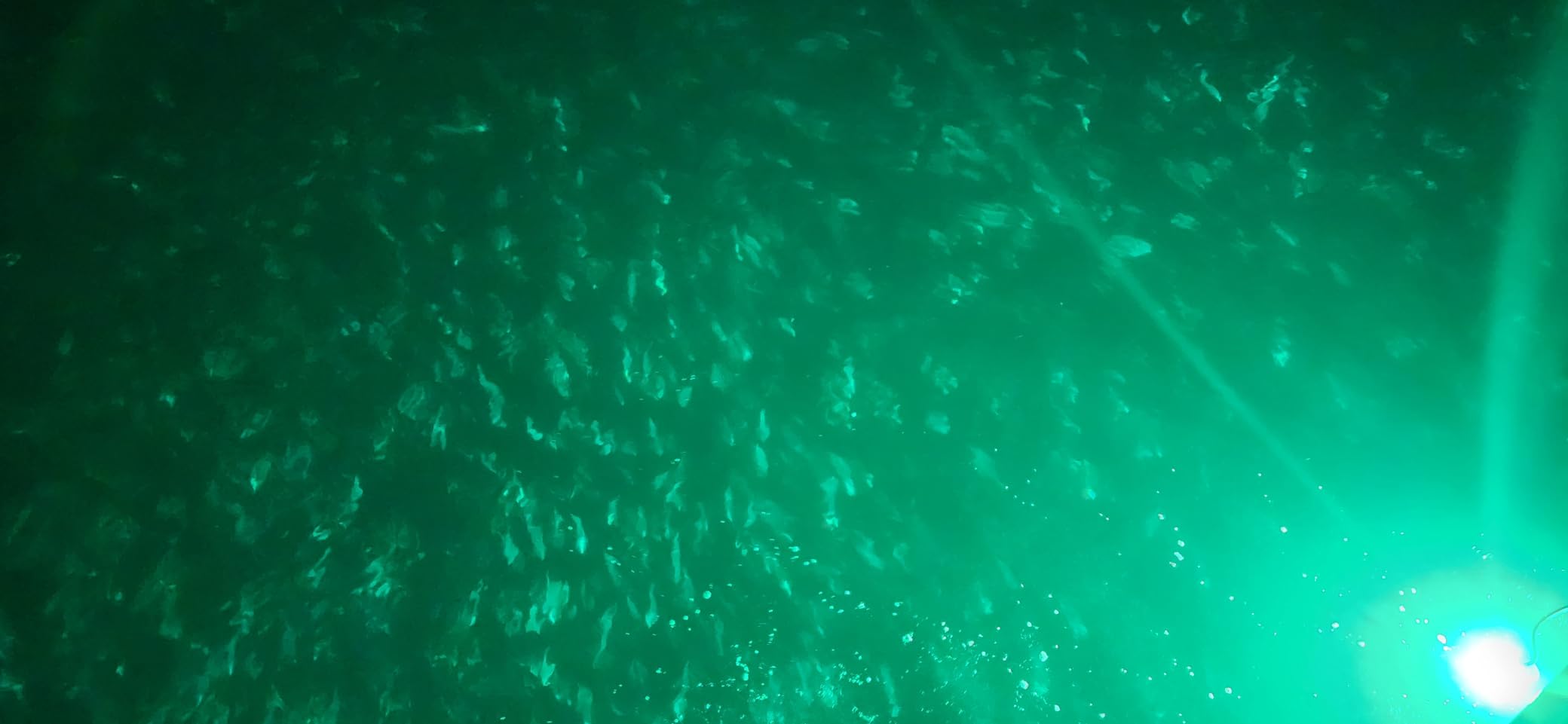 Fishing Light Underwater 12V 15000LM 110V 35000LM Green White Blue Yellow Led Submersible Night Boat Waterproof IP68 in Freshwater and Saltwater with 17FT and 33FT customer photo 1