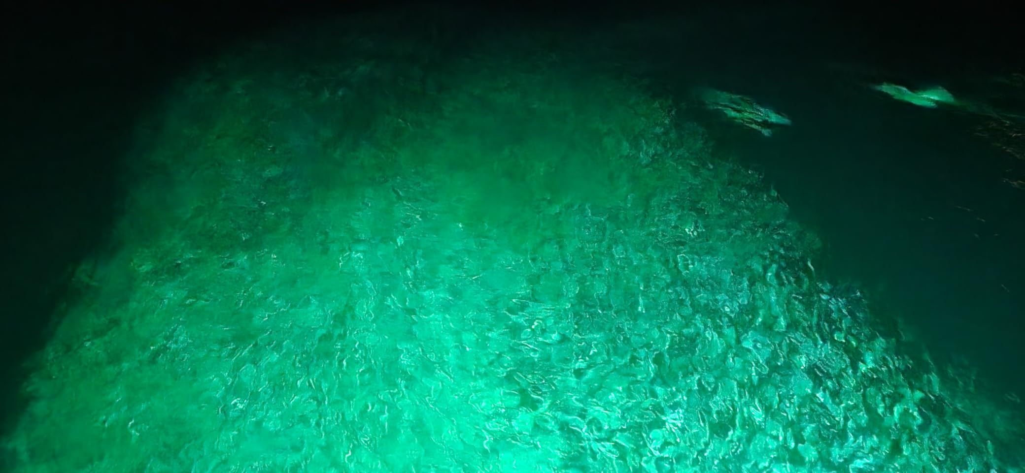 Fishing Light Underwater 12V 15000LM 110V 35000LM Green White Blue Yellow Led Submersible Night Boat Waterproof IP68 in Freshwater and Saltwater with 17FT and 33FT customer photo 2