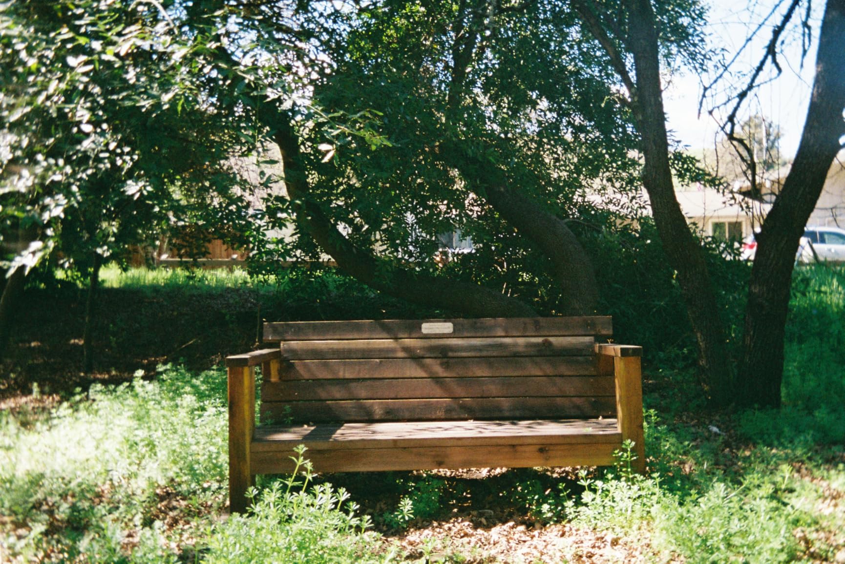 KODAK EKTAR H35N Half Frame Film Camera with Bulb Function, Built-in Star Filter, and Coated Improved Lens customer photo 1