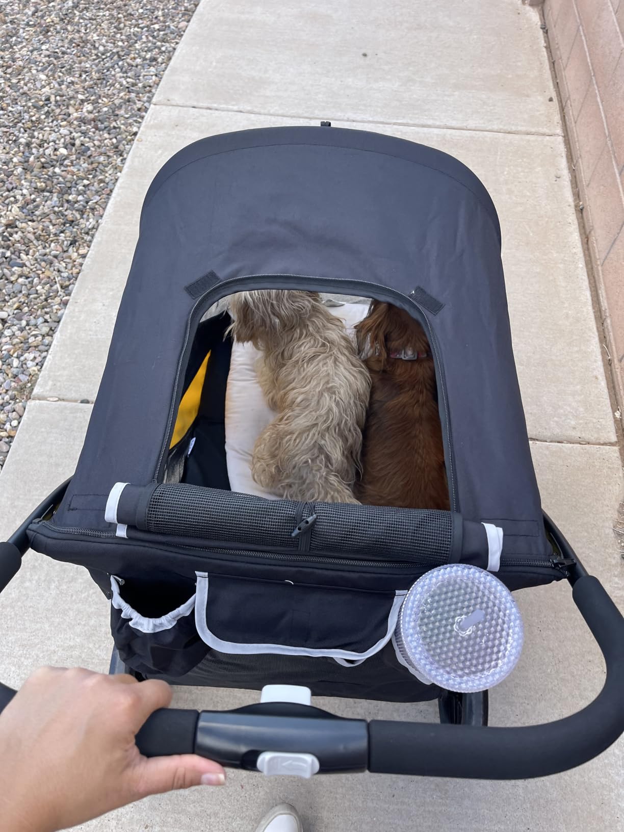 Petbobi Dog Stroller for Large & Medium Dogs - Easy Fold Dual Entry Pet Stroller with One-Foot Brake, All Terrain Wagon Cart customer photo 2