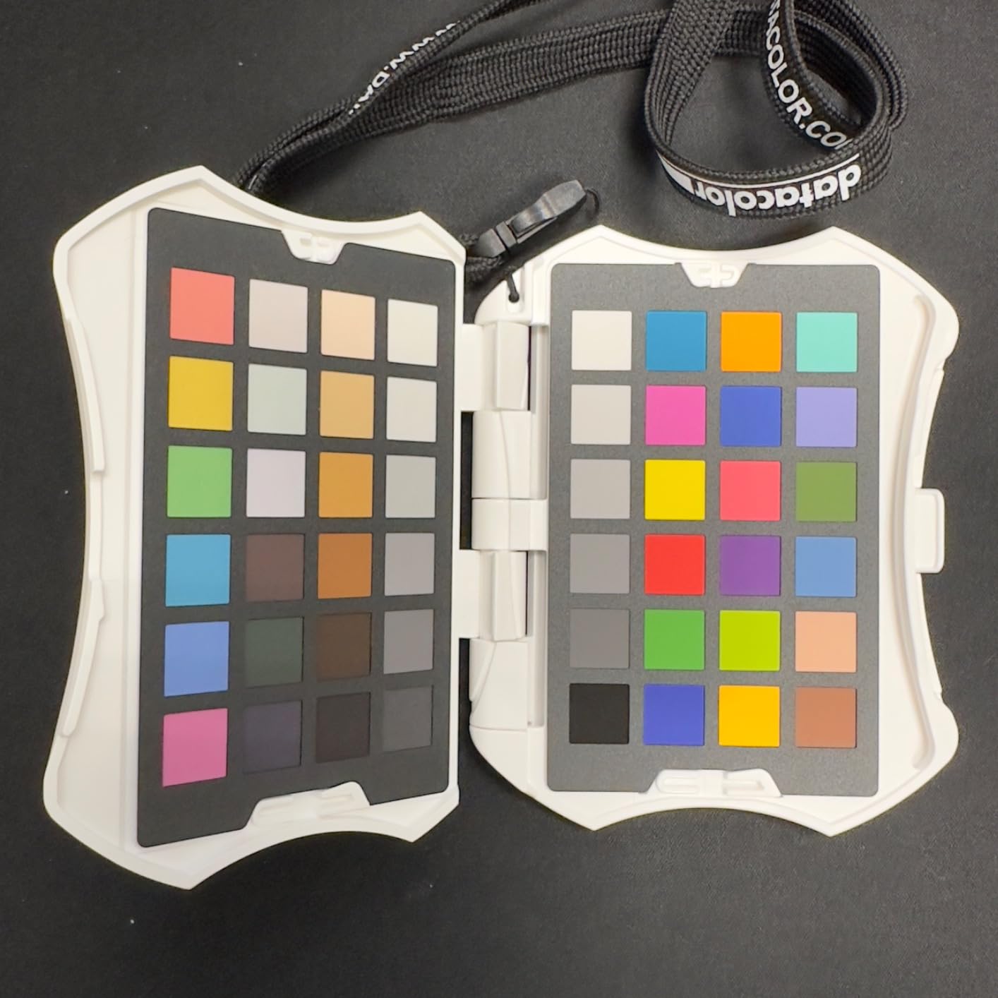 Spyder Checkr Video - Video Color Tool with Patent-Pending Color Pattern Card That leverages How Video is Processed, for More Color Information at-a-Glance for Precise Color & Exposure. customer photo 2