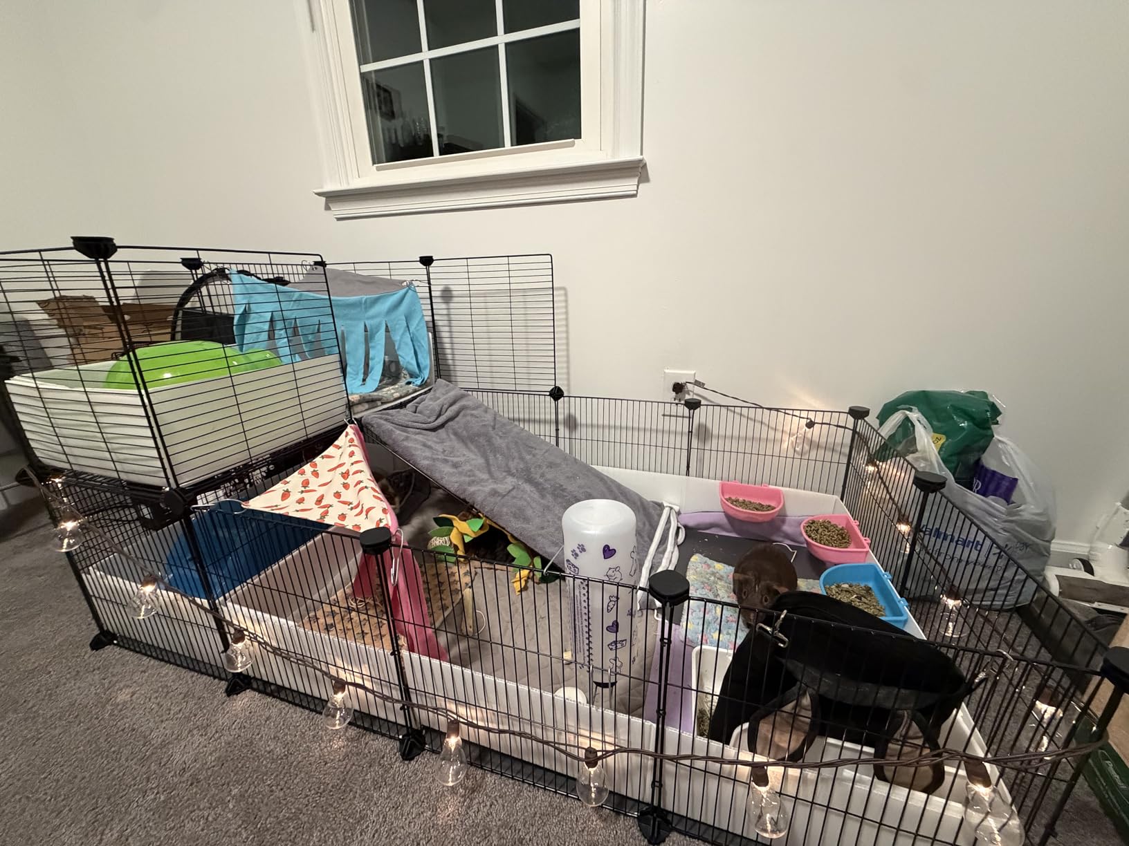 Oneluck Guinea Pig Cage,Indoor Habitat Cage with Waterproof Plastic Bottom,Playpen for Small Pet Bunny, Turtle, Hamste, Loft and Partition customer photo 1