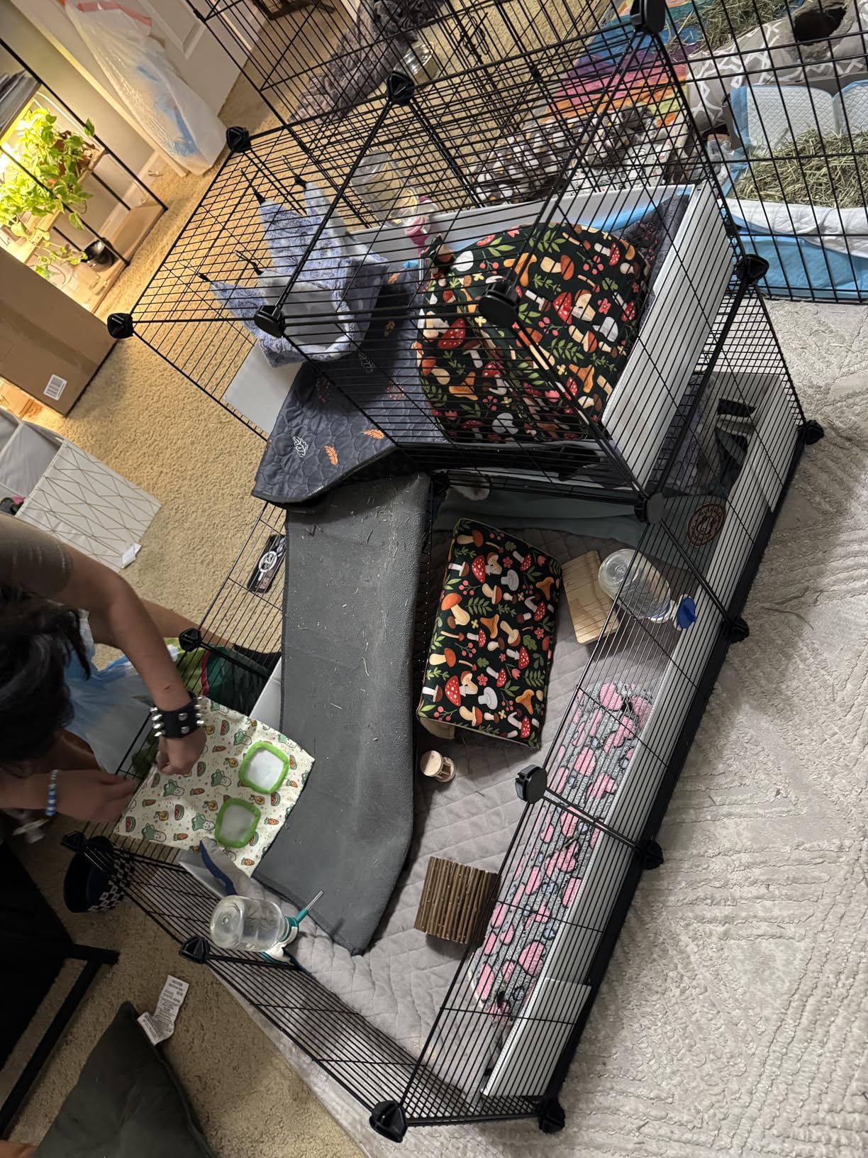 Oneluck Guinea Pig Cage,Indoor Habitat Cage with Waterproof Plastic Bottom,Playpen for Small Pet Bunny, Turtle, Hamste, Loft and Partition customer photo 2