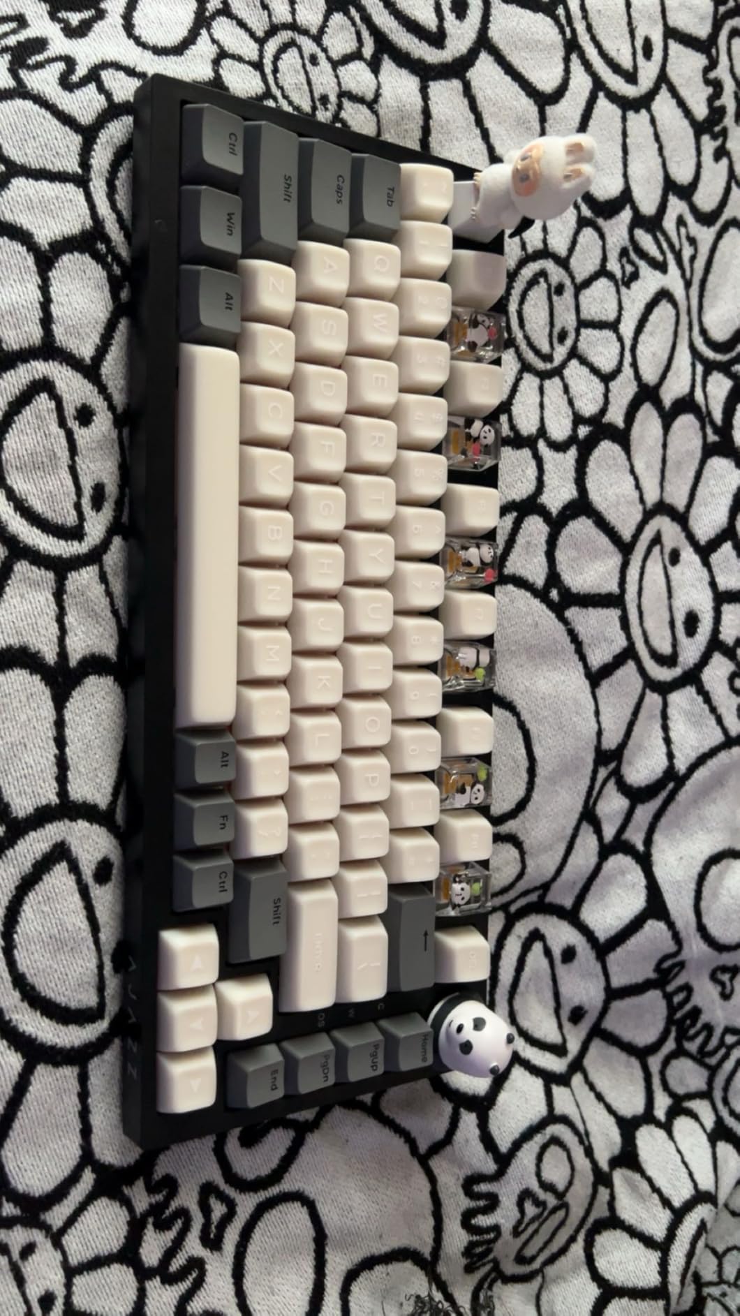 Ajazz AK820 75% Wired Gasket Mechanical Gaming Keyboard with Volume Knob - South Facing LED - PBT Keycaps - Programmable RGB Hot Swap Keyboard customer photo 2