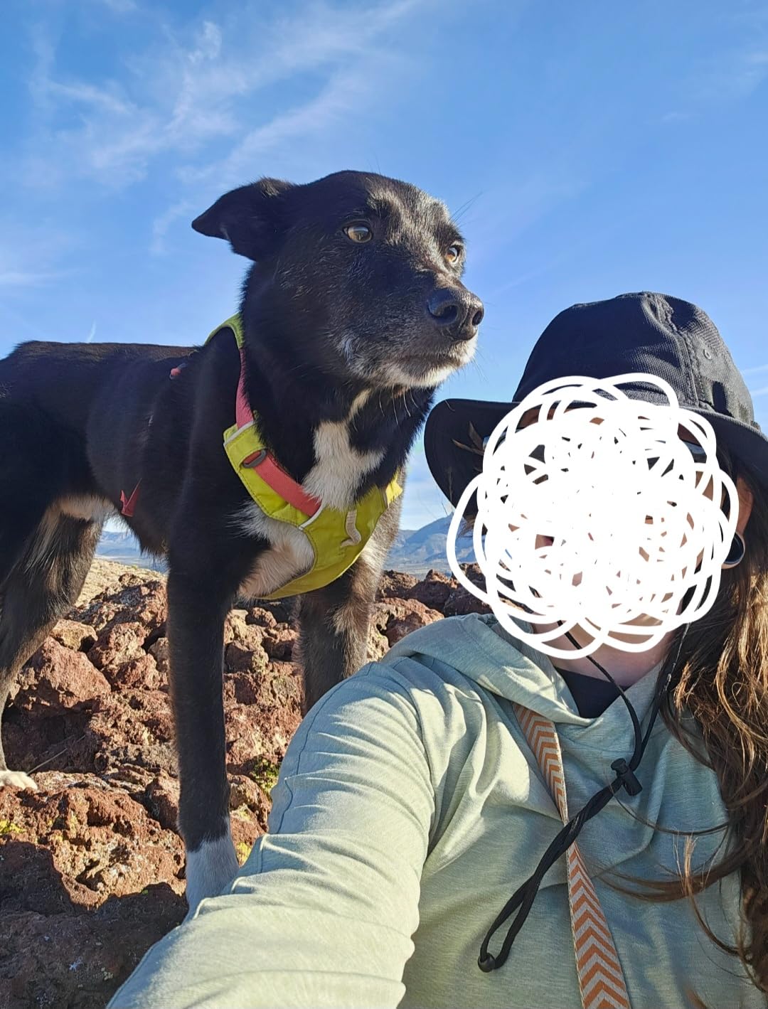 Ruffwear Hi & Light, Everyday Lightweight Dog Harness, Trail Running, Walking, Hiking, All-Day Wear, Basalt Gray, Small customer photo 2
