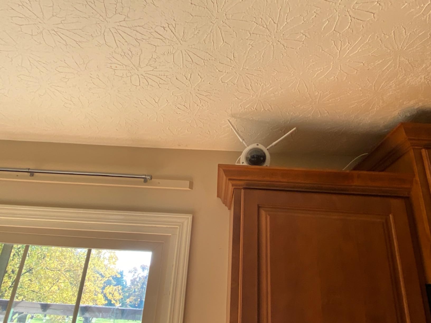 REOLINK 4K Wi-Fi 6 Security Camera with 125 Degree Viewing Angle, Outdoor Camera with IK10 Vandal-Proof, Color Night Vision, Smart Detection, Local Storage, Non-PT Cam, DC 12V/1A, RLC-840WA customer photo 1