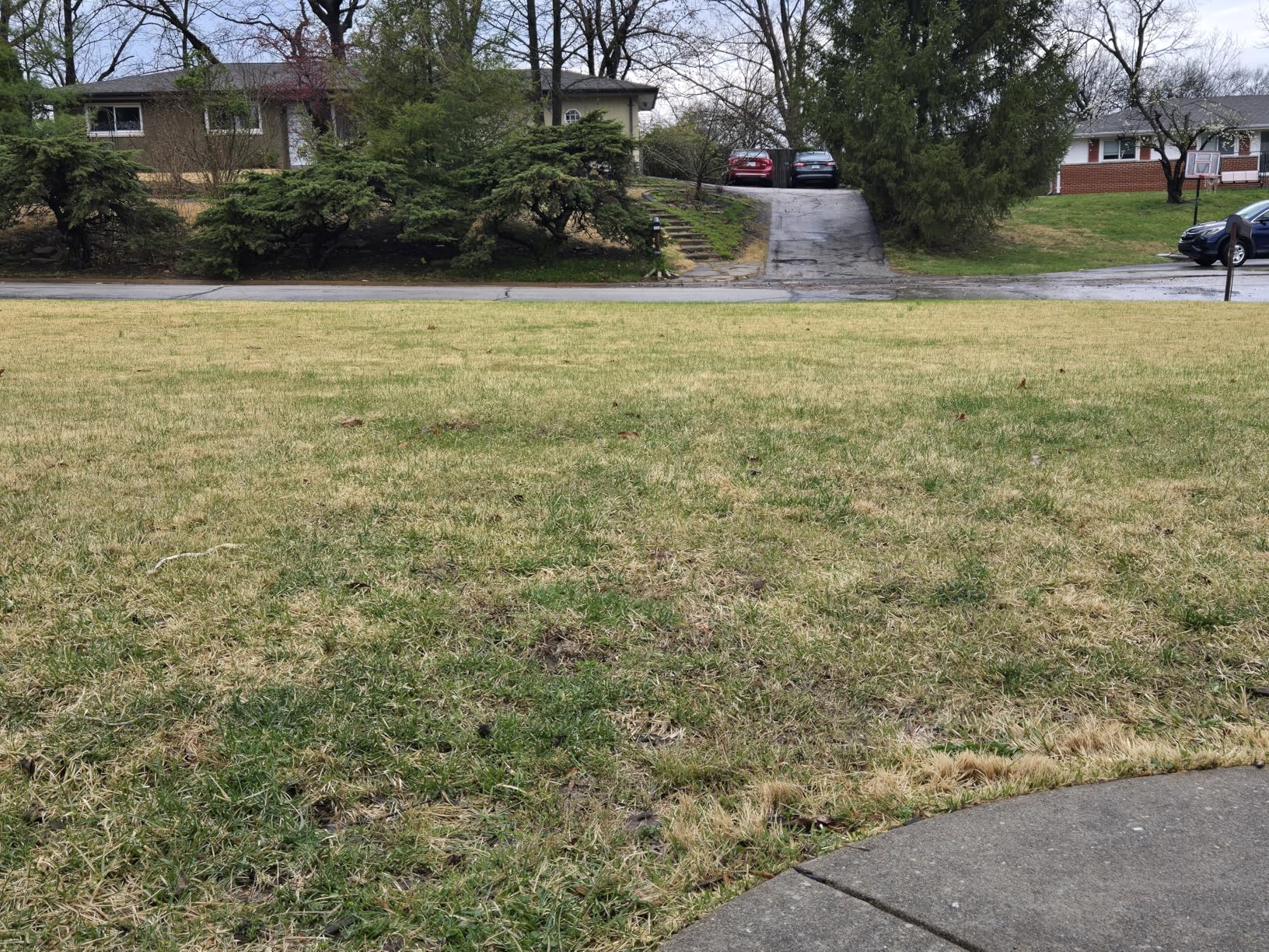 2-in-1 Dethatcher & 16-Inch Scarifier Electric Corded, 15 Amp Copper Motor with 14.5 gal Thatch Bag customer photo 2