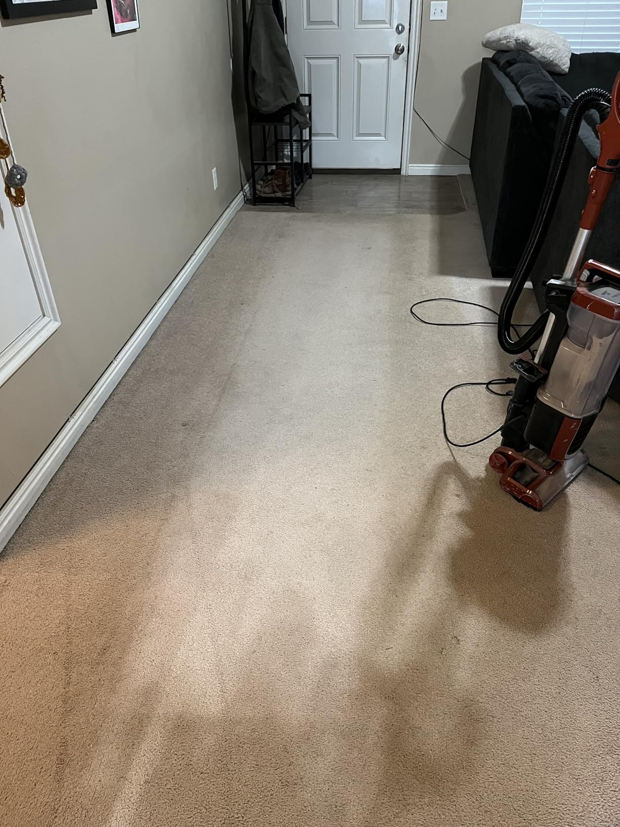 Shark CarpetXpert Upright Carpet & Area Rug Cleaner, Perfect for Pets, Lightweight & Powerful, Dirt, Grime, & Odor Removal, Carpet Shampooer, Cleaning Solution, Blue, EX121BRN customer photo 2