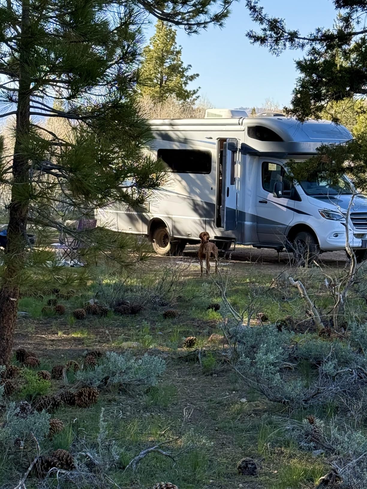 BLUETTI AC200PL Portable Power Station, 2304Wh Solar Generator, Expandable to 8448Wh w/ 4 2400W AC Outlets (3600W Power Lifting), 30A TT30 Output customer photo 2