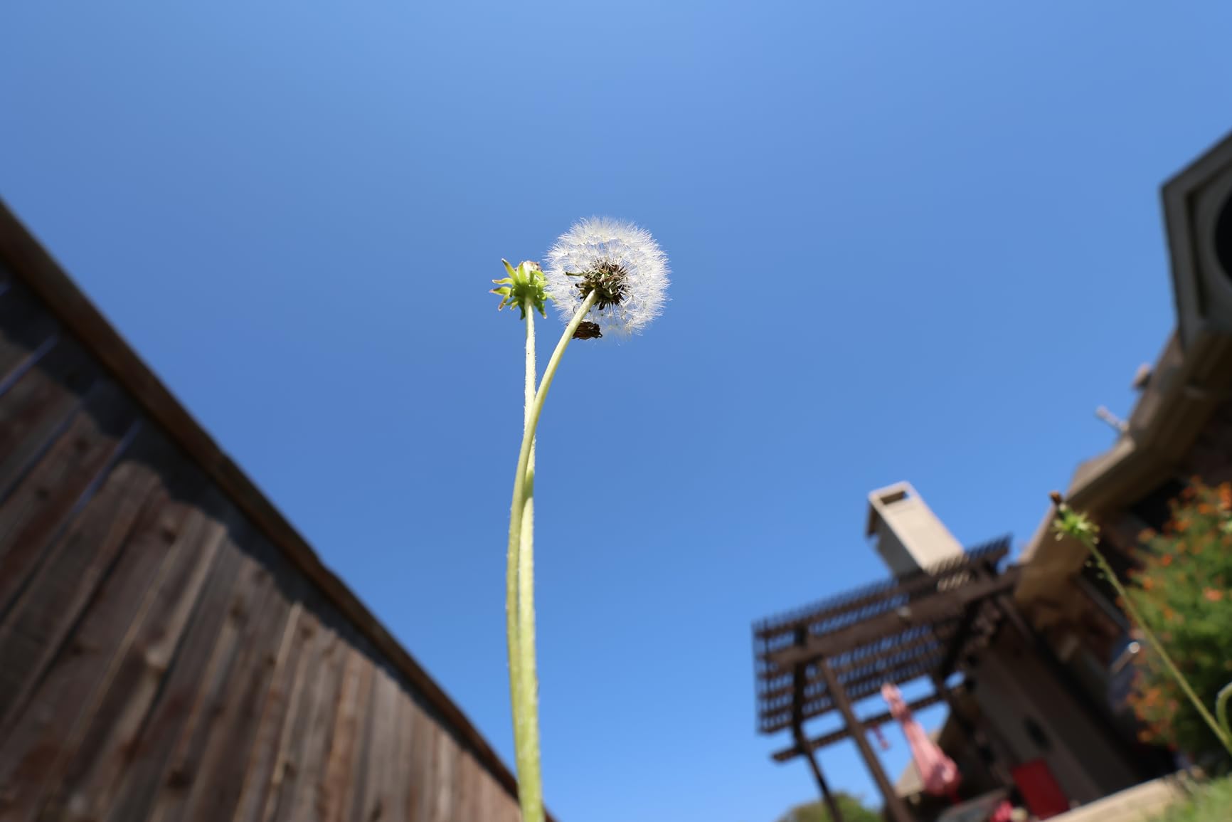 Canon RF-S 10-18mm f/4.5-6.3 IS STM Lens customer photo 1