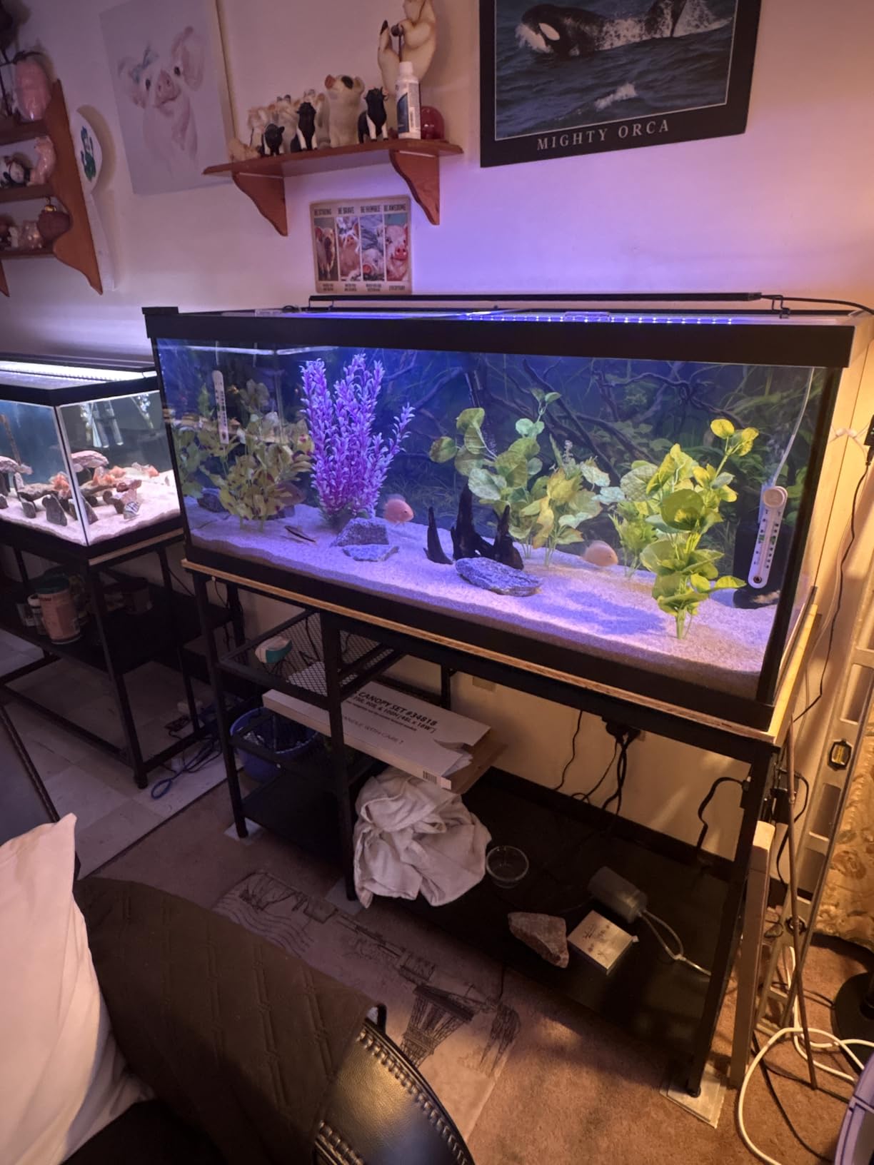 55-75 Gallon Fish Tank Stand: Heavy Duty Aquarium Stand with Power Outlets and Cabinet for Fish Tank Accessories Storage - Metal Frame, 1200LBS Capacity customer photo 1