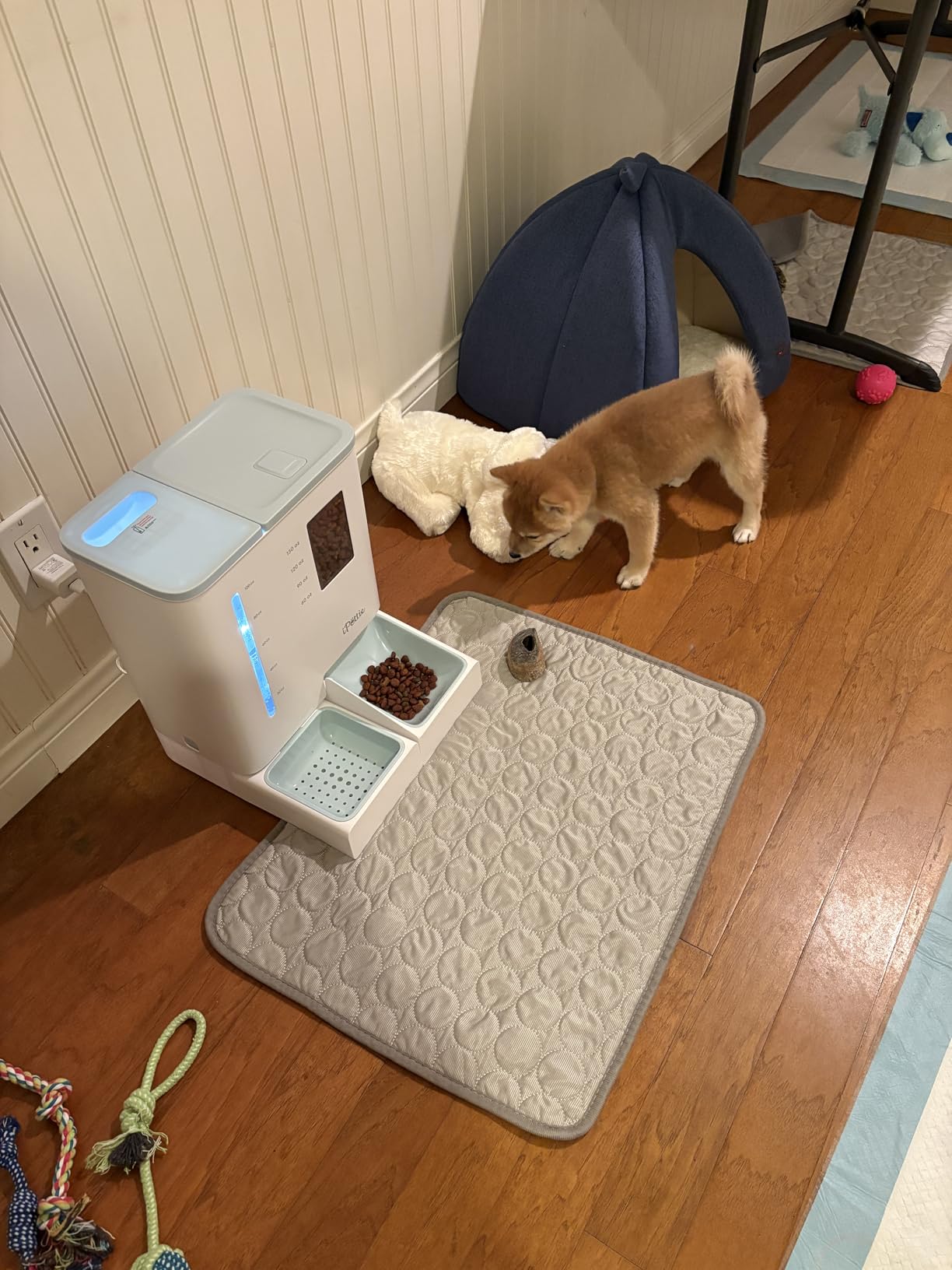 iPettie FW54 5G/2.4GHz WiFi Automatic Feeder and Waterer 2-in-1 Set for Pets, 300 oz Large Capacity for 2 Weeks, Perfect for Working Parents customer photo 1