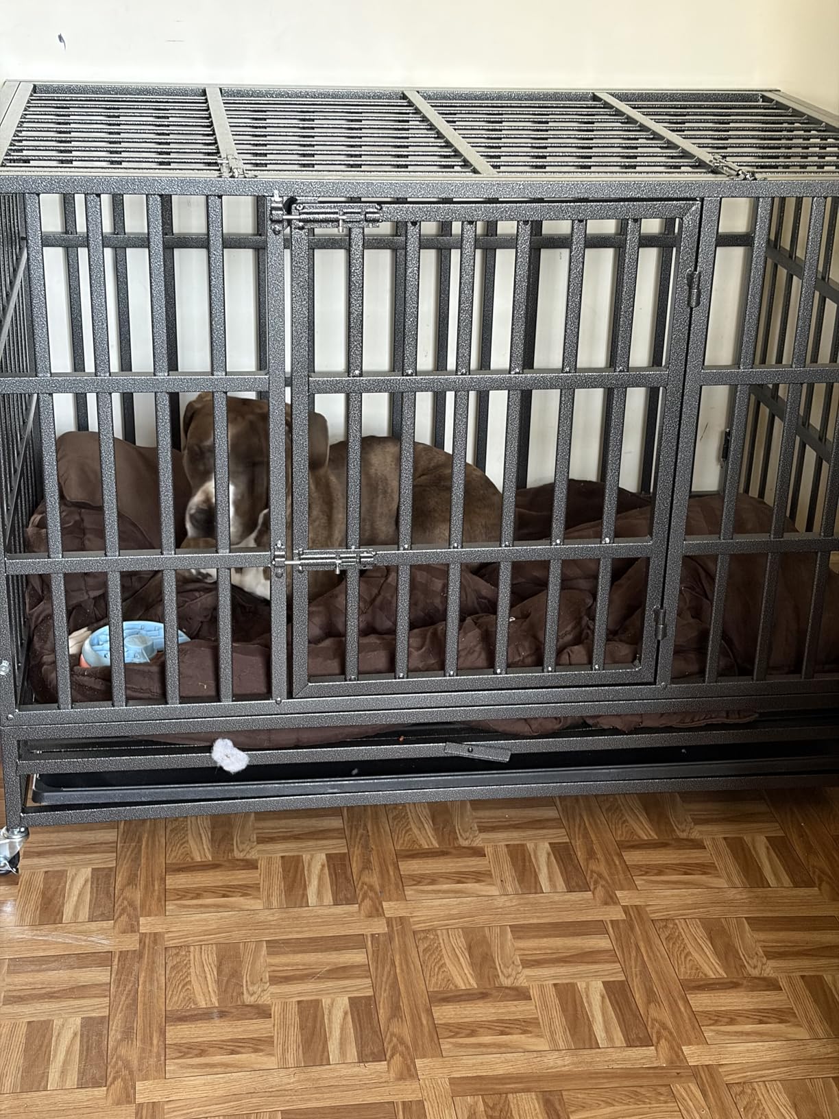 Oranland 48 inch Heavy Duty Indestructible Dog Crate, 2025 New Upgraded Reinforced Baseplate for Large Dogs, XL Dog Crate for High Anxiety Dogs, Max Load Capacity 250lbs, Double Door with Wheels customer photo 2