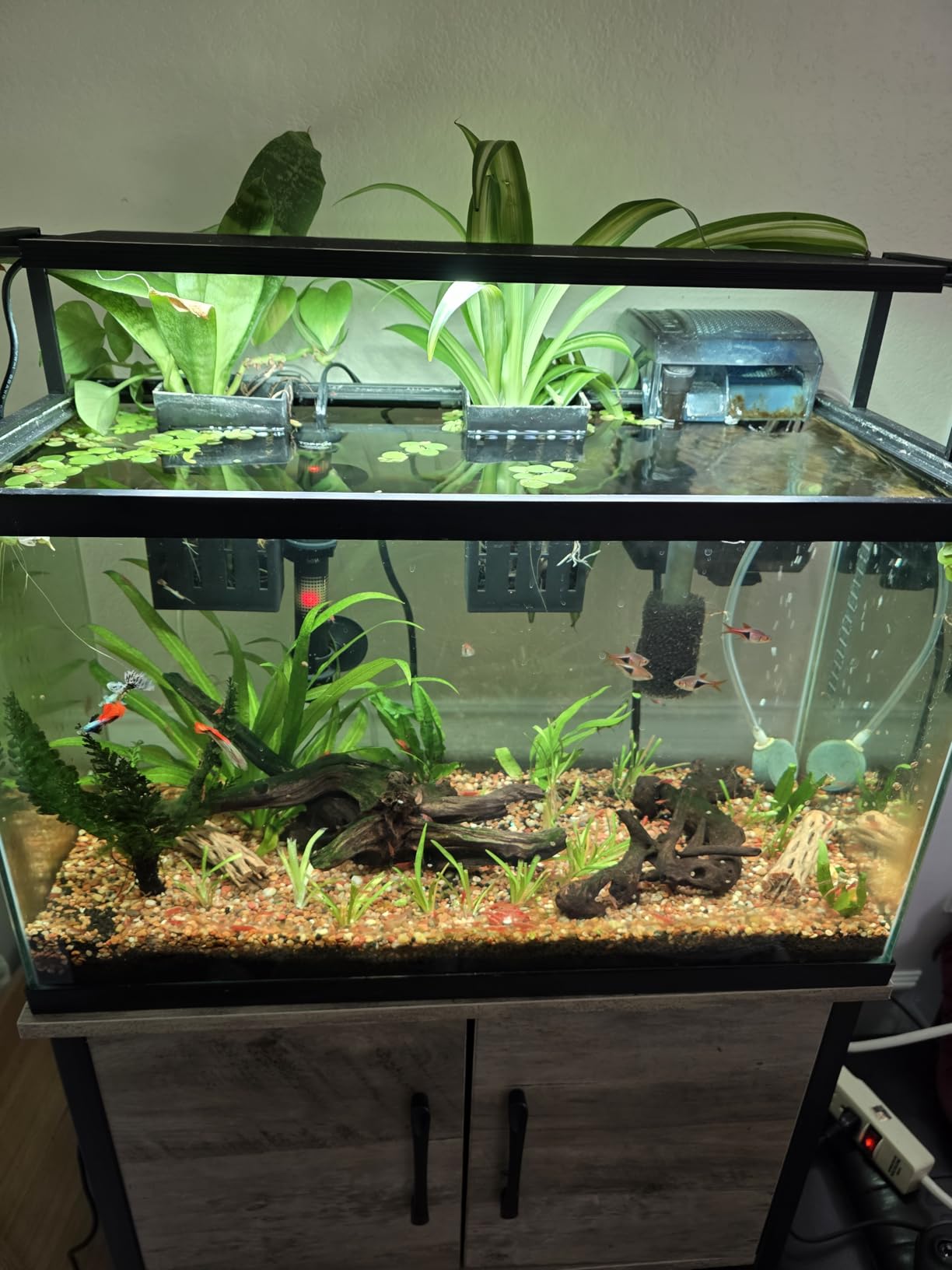 Fluval AC20 Power Filter, 5-20 US Gal / 18-76 L customer photo 1