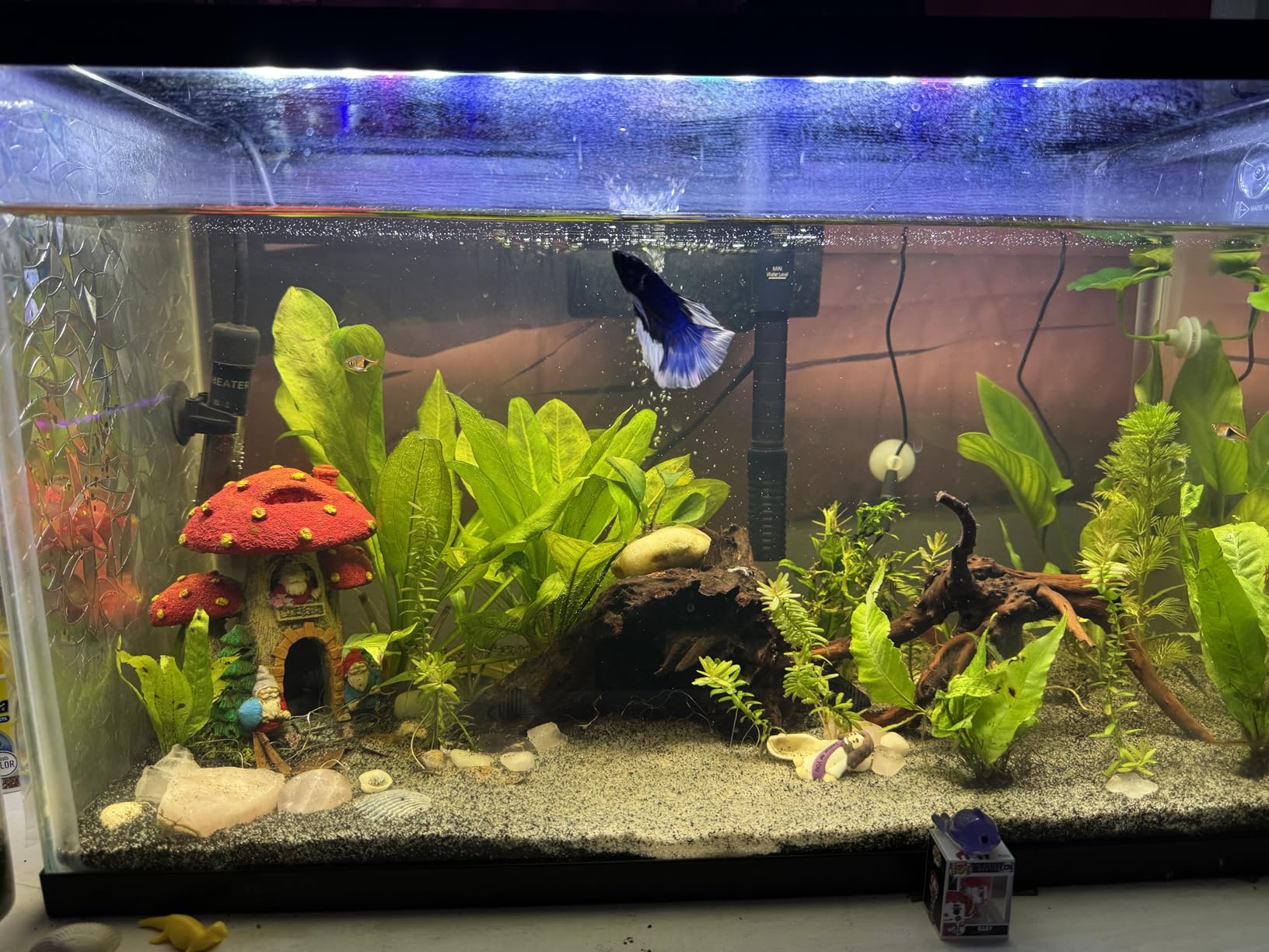 hygger Aquarium HOB Filter 105 GPH for 10-20 Gallon Fish Tank Power Filter with Adjustable Water Flow Extendable Intake Tube customer photo 1