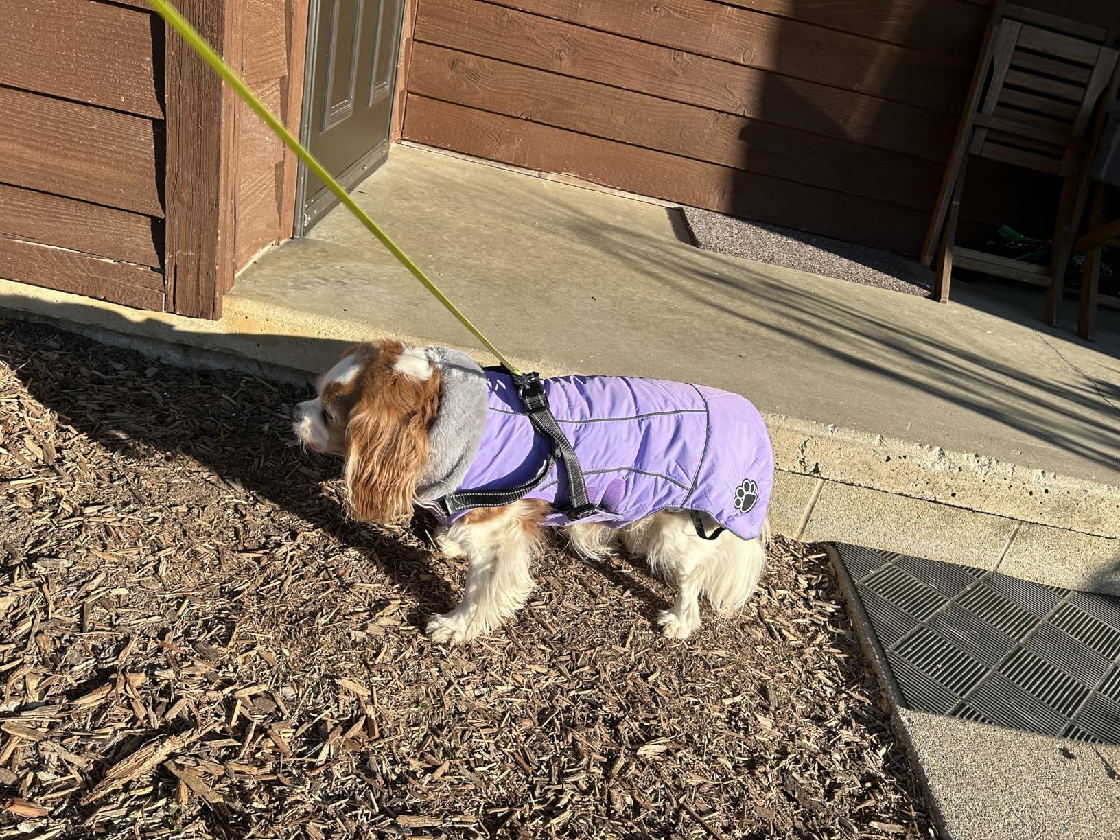 Doglay Dog Coat with Harness, Reflective Warm Dog Jacket Waterproof Puppy Winter Coat for Cold Weather, Adjustable Fleece Jacket for Small Medium Large Dogs customer photo 1