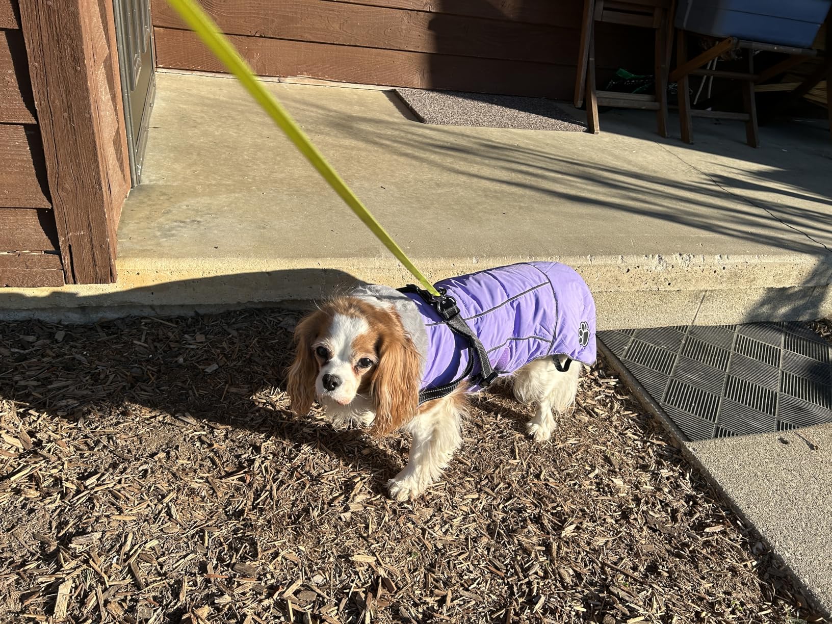 Doglay Dog Coat with Harness, Reflective Warm Dog Jacket Waterproof Puppy Winter Coat for Cold Weather, Adjustable Fleece Jacket for Small Medium Large Dogs customer photo 2