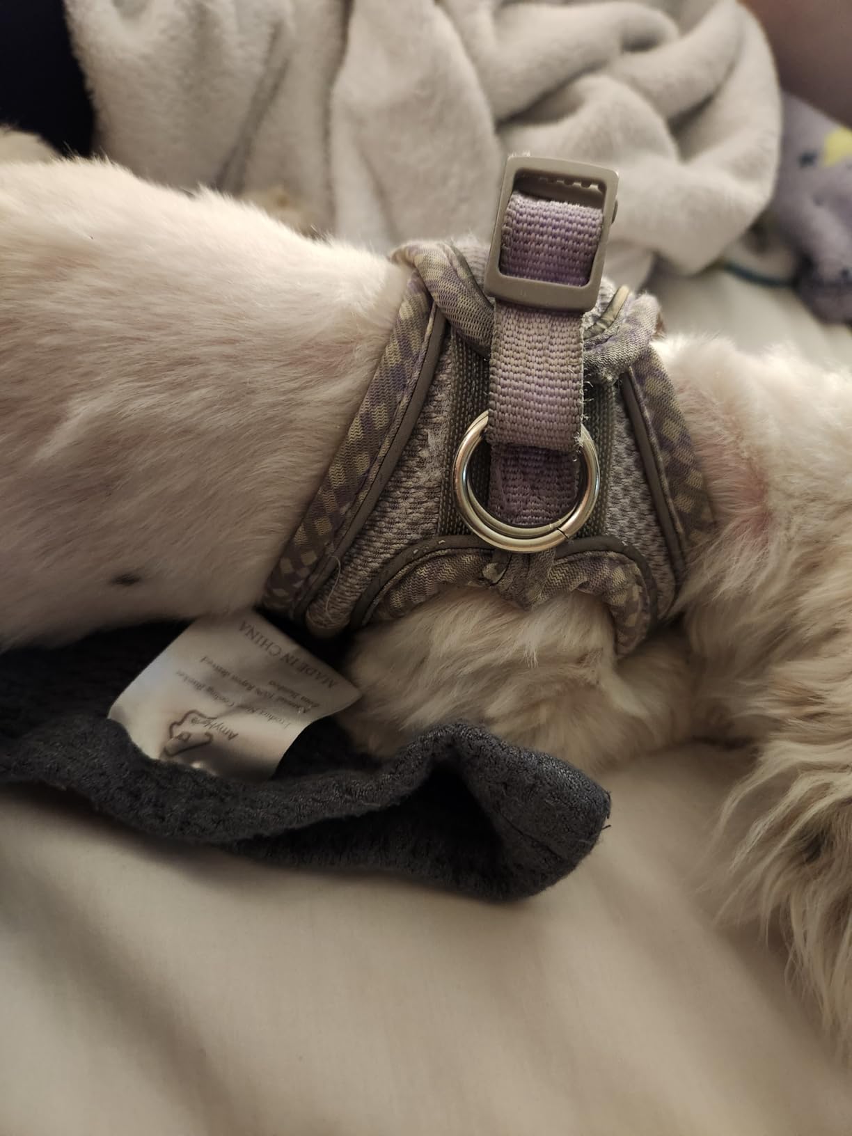 AIITLE Tiny Dog Harness - Lightweight Mesh Step-in Vest for Puppy, Reflective & Escape-Proof Design with High-Stick Magic Tape - Indoor/Outdoor Use for Chihuahua, Maltese, Shih Tzu(Brown-Beige, XXXS) customer photo 1