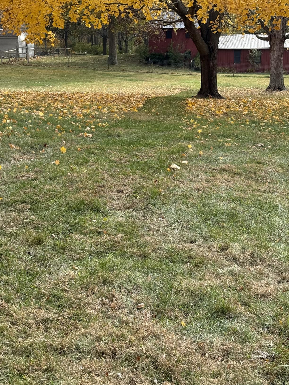 Agri-Fab 45-0630 Large Capacity 29 CU FT Soft Top Mow-N-Vac, Tow Behind Lawn Vacuum, Gas Powered customer photo 2