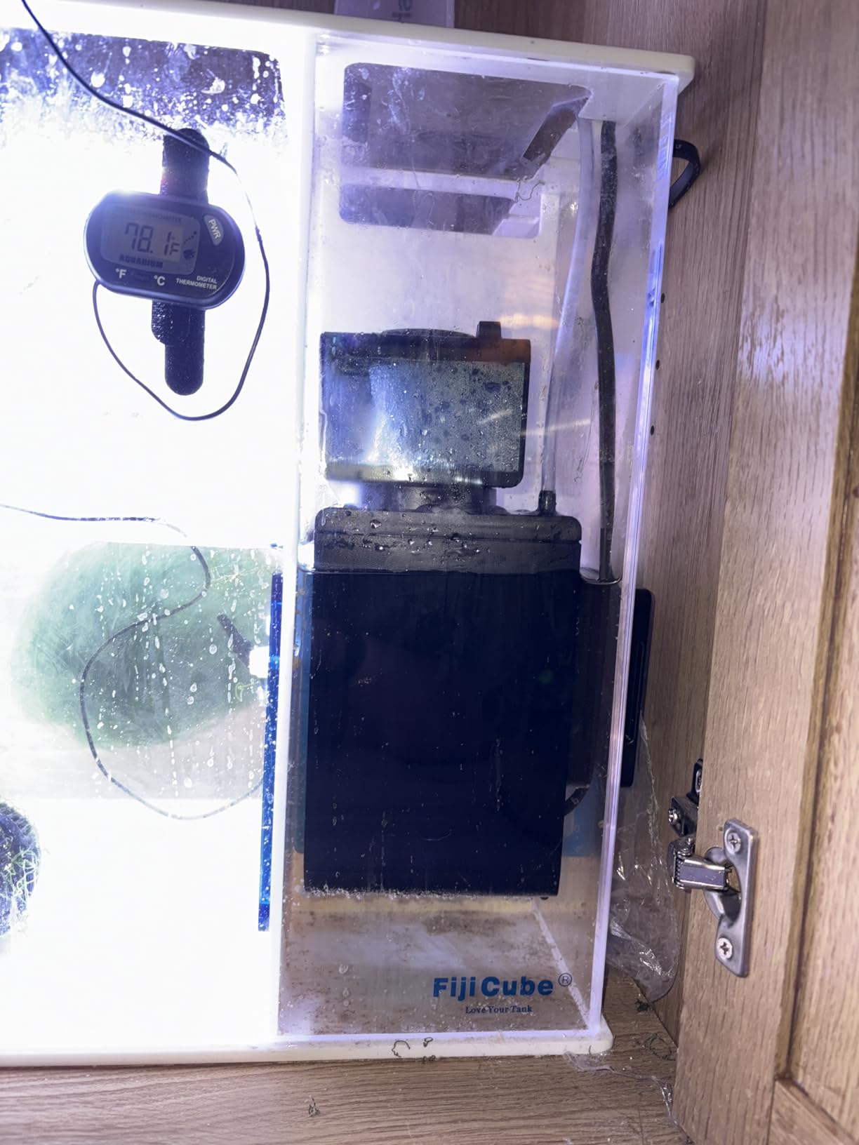Sicce Shark Nano Protein Skimmer 300 up to 80 Gallon Saltwater Aquariums | Ultra Quiet Pump, Adjustable, Compact customer photo 1