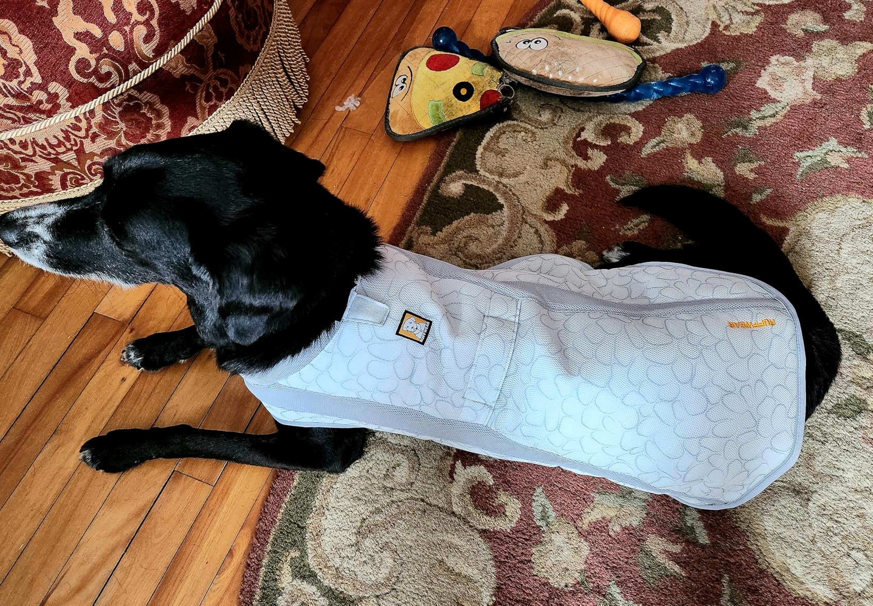 Ruffwear, Swamp Cooler Dog Vest, Evaporative Cooling for Hot Weather, Compatible with Most Harnesses, Graphite Gray, Large customer photo 2