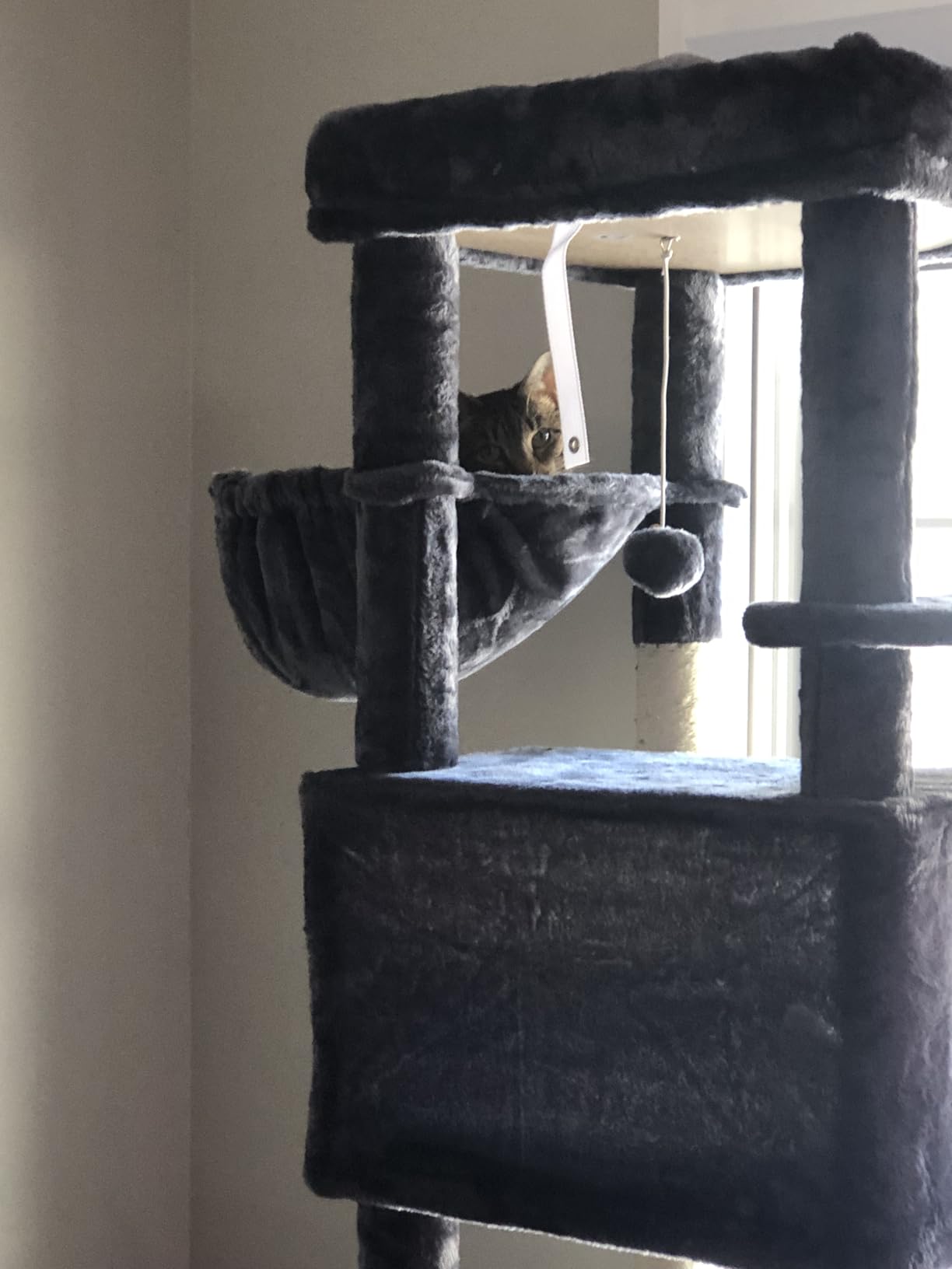 Globlazer Heavy Duty Cat Tree, 74in Sturdy Cat Tower for Large Cats Adult, Big Cat Tree with 7 Sisal Scratching Posts, 2 Padded Condos, 2 Dual-Ear Hanging Baskets, Enlarged Top Perch, S74, Dark Grey customer photo 2