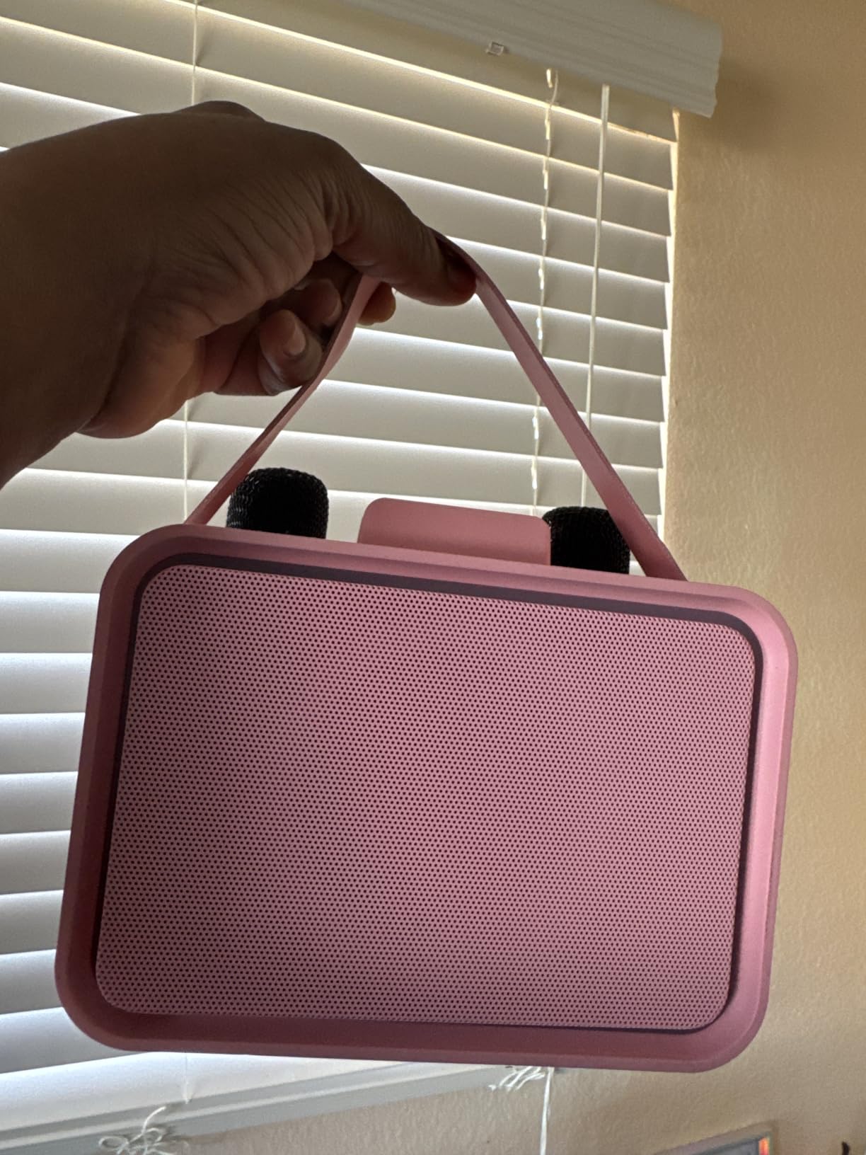 Karaoke Machine, Portable Bluetooth Speaker with 2 Wireless Microphone for Adults & Kids with LED Lights, PA System (Pink) customer photo 1