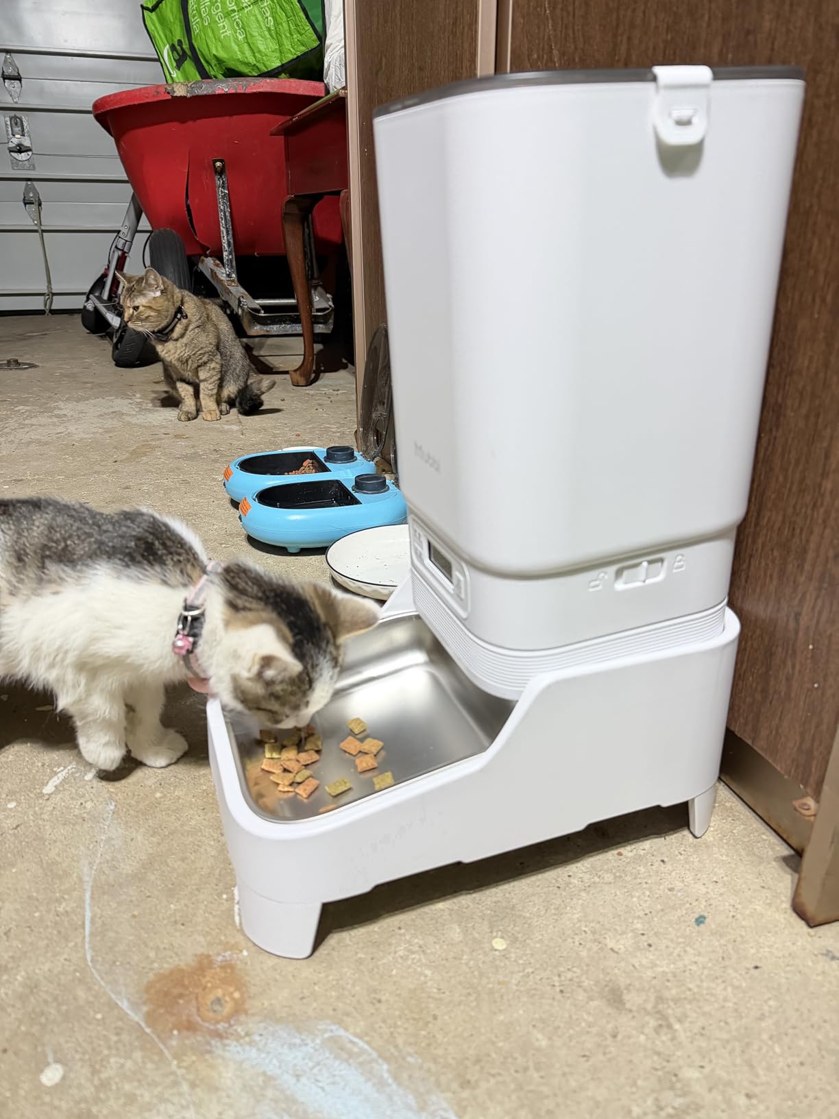 Automatic Cat Feeder with Camera, 5G WiFi Automatic Dog Feeder, 7L Cat Food Dispenser with Night Vision, 1-15 Meals, 1-99 Portions, 2-Way Audio, Jam Free, Ideal for Multiple Pets customer photo 1