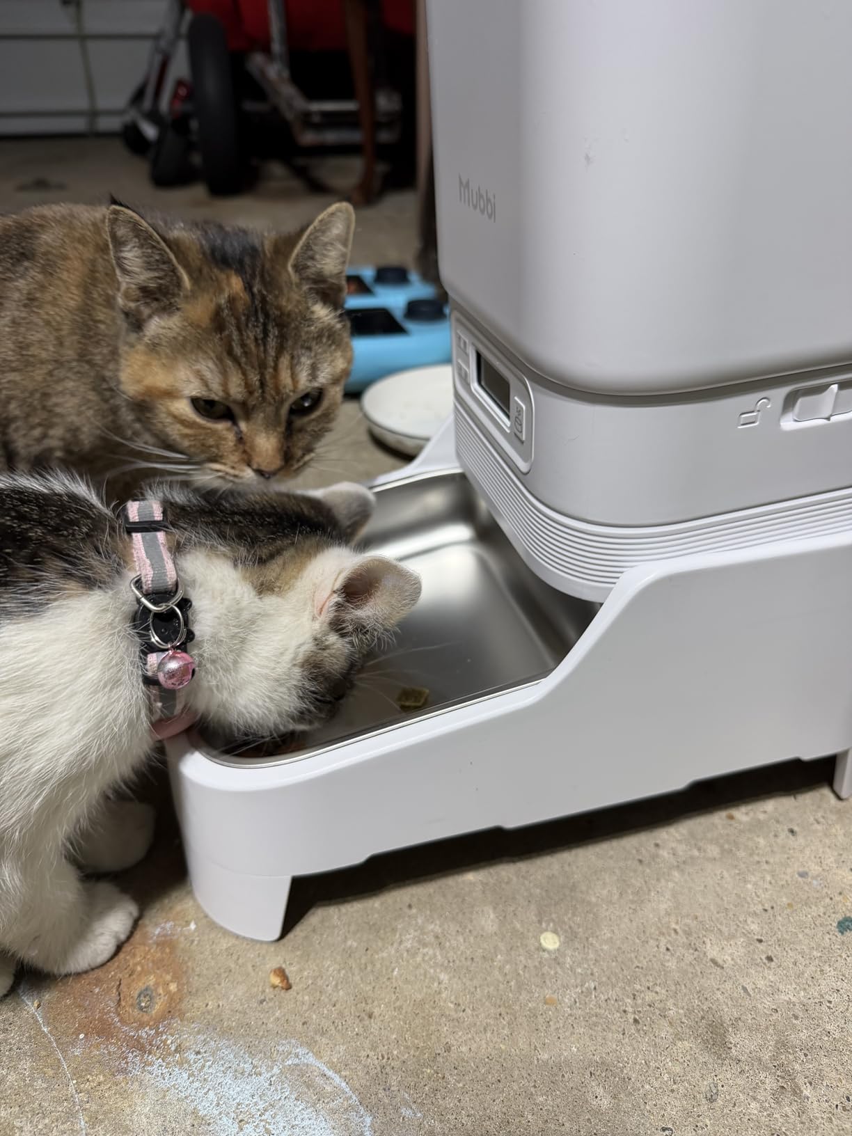Automatic Cat Feeder with Camera, 5G WiFi Automatic Dog Feeder, 7L Cat Food Dispenser with Night Vision, 1-15 Meals, 1-99 Portions, 2-Way Audio, Jam Free, Ideal for Multiple Pets customer photo 2