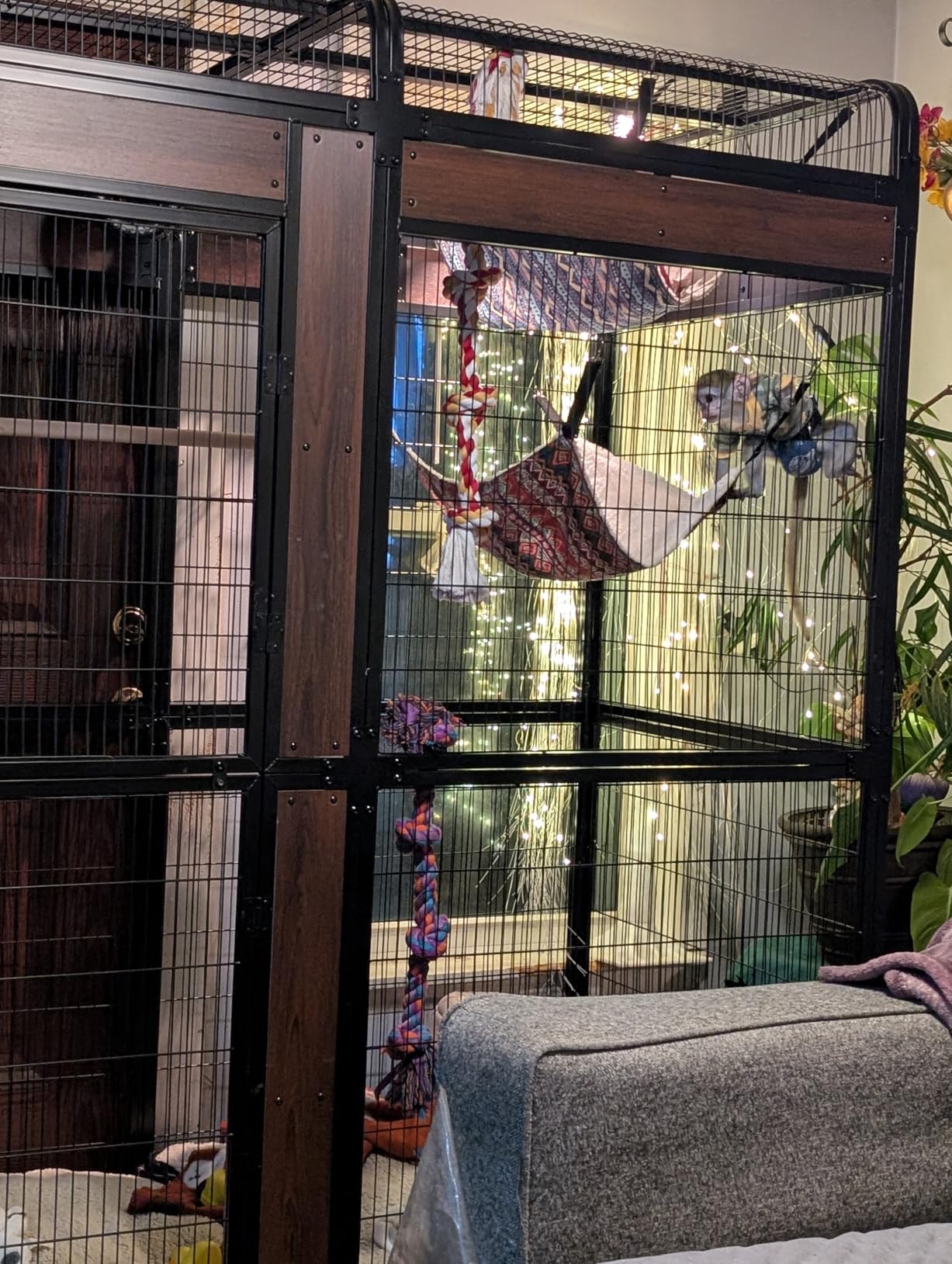 Large Bird Cage for Parakeets Outdoor Bird Aviary Parrot Cage with Perch, Birdcage for Macaws Canaries Parrots Budgie Lovebirds-White (2 Box Set) customer photo 2