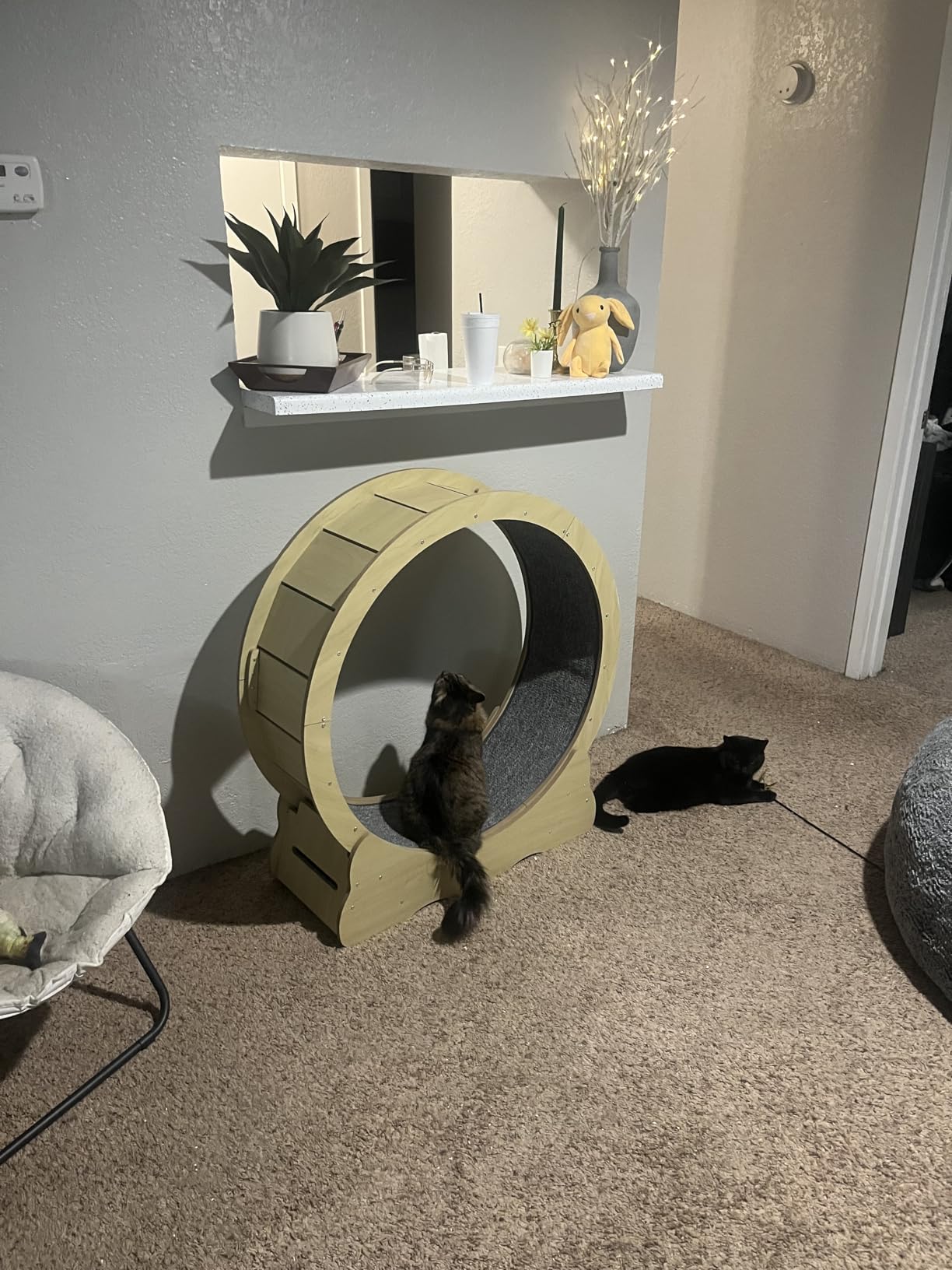 VEVOR Cat Exercise Wheel, Large Cat Treadmill Wheel for Indoor Cats, 35.8 inch Cat Running Wheel with Detachable Carpet and Cat Teaser for Running/Walking/Training, Suitable for Most Cats customer photo 2